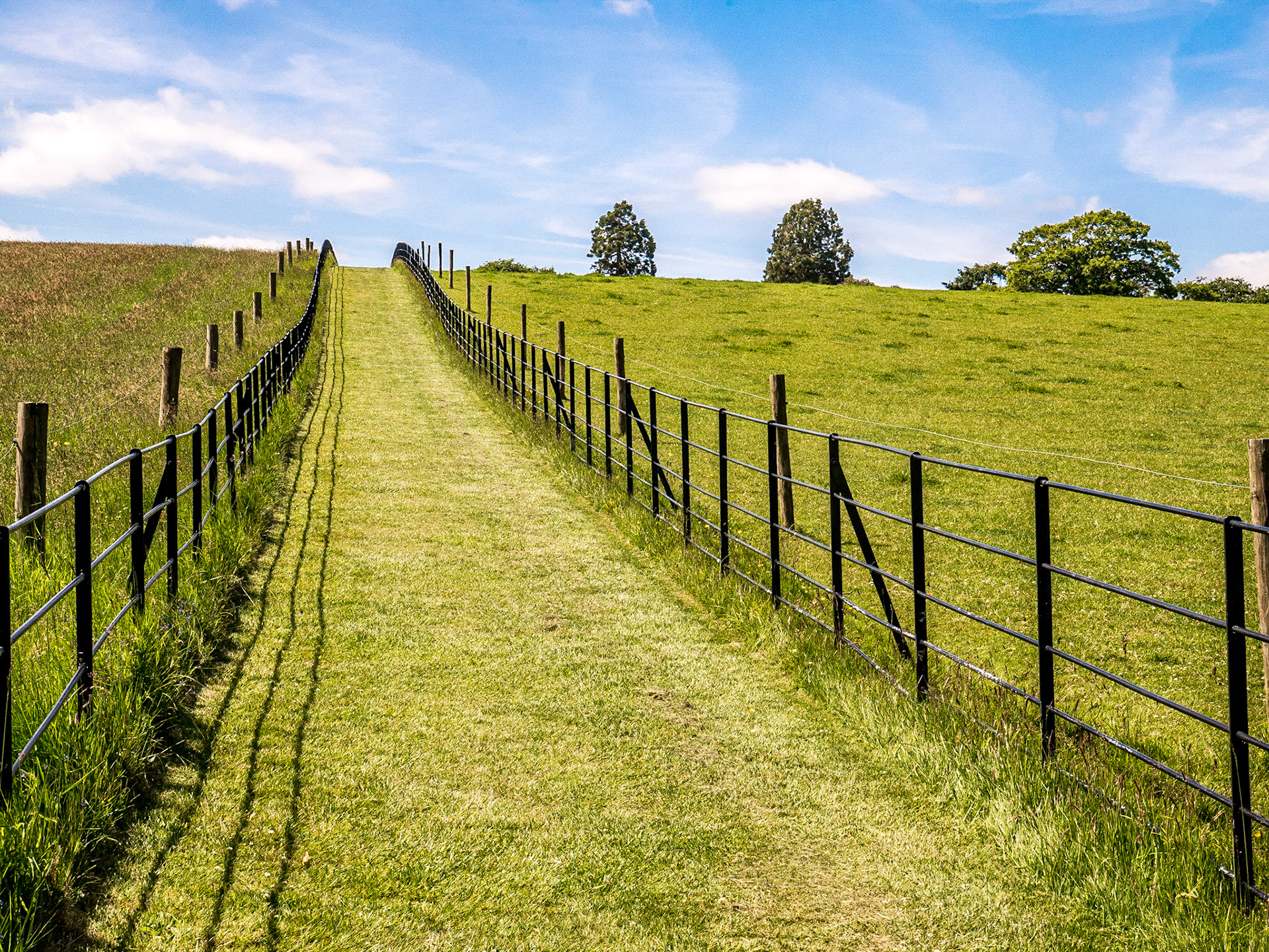 Altamont Gardens, Co Carlow, 18 Jun 2015