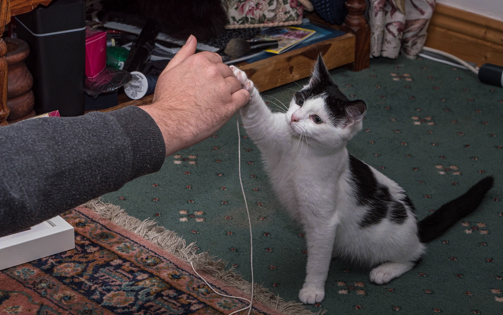 At home, 22 Oct 2023