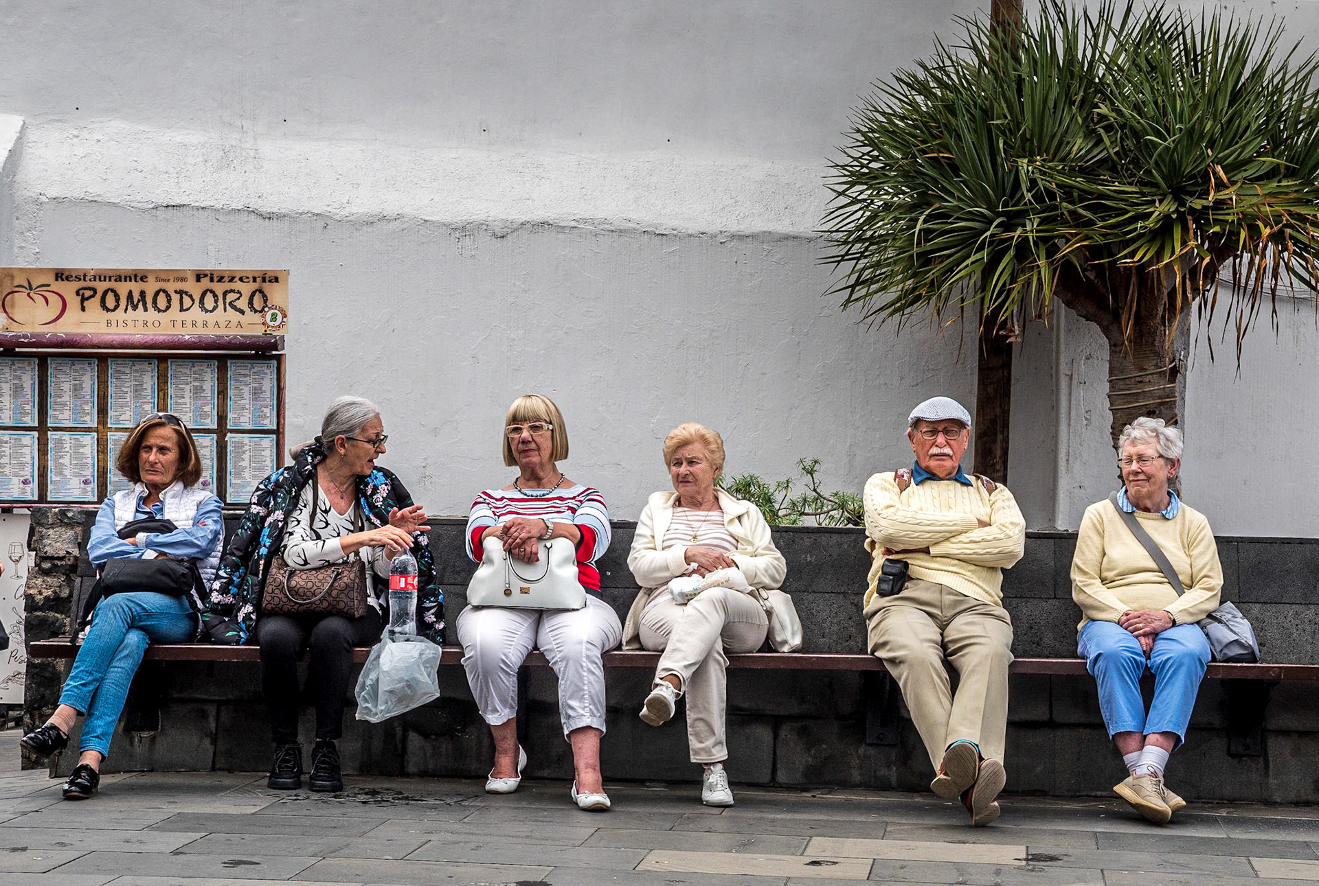 Puerto de la Cruz, Tenerife, 16 Feb 2019