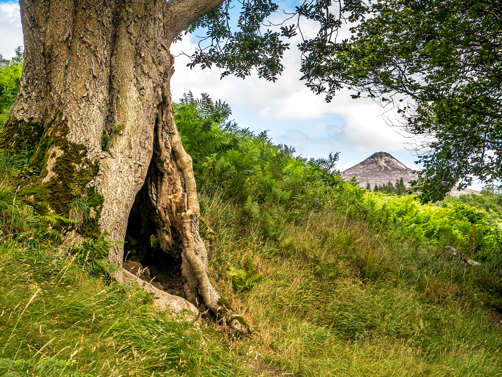 Knockree, Co Wicklow, 2 Aug 2017