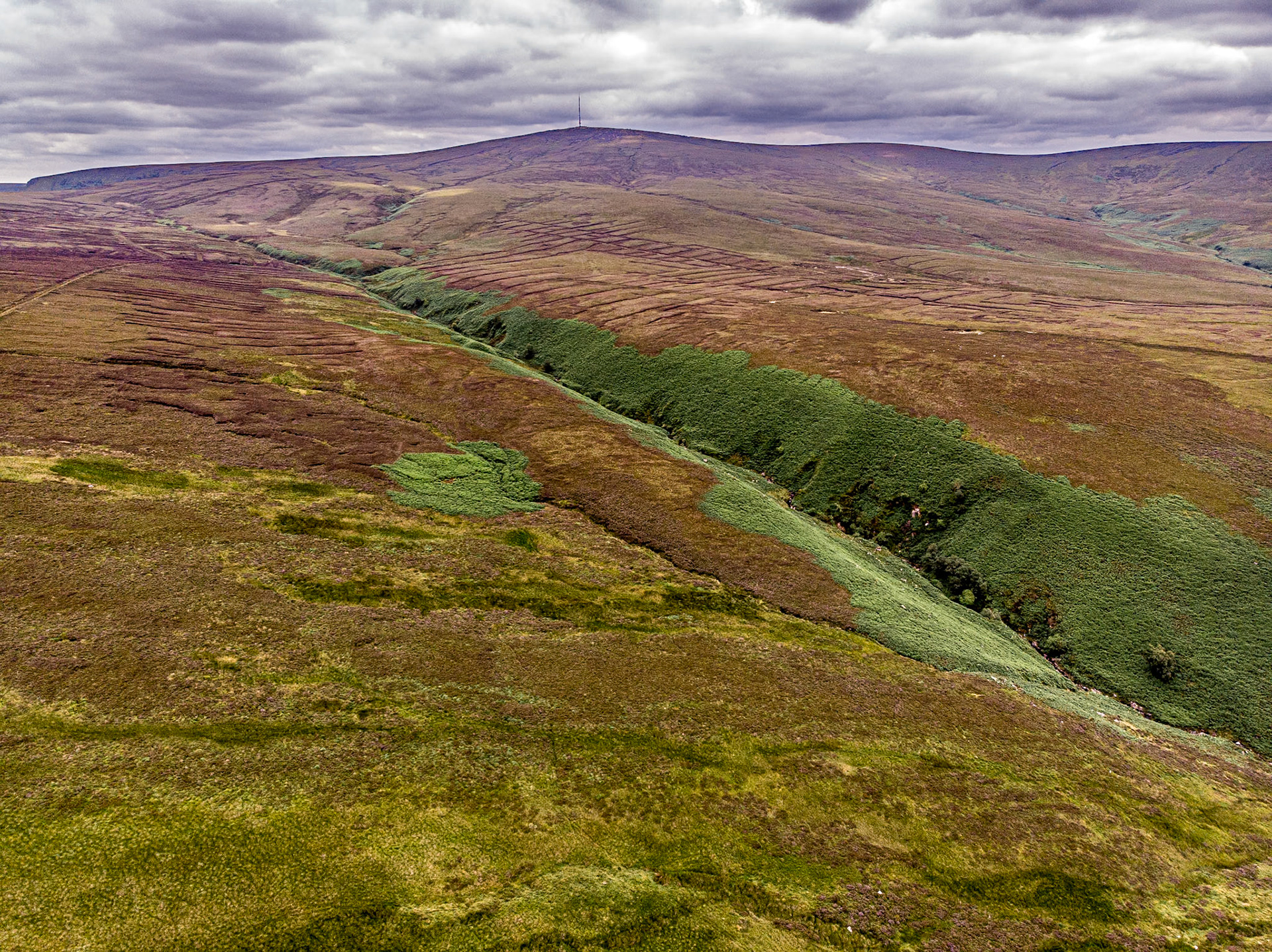Featherbeds, Co Wicklow, 21 Jul 2022