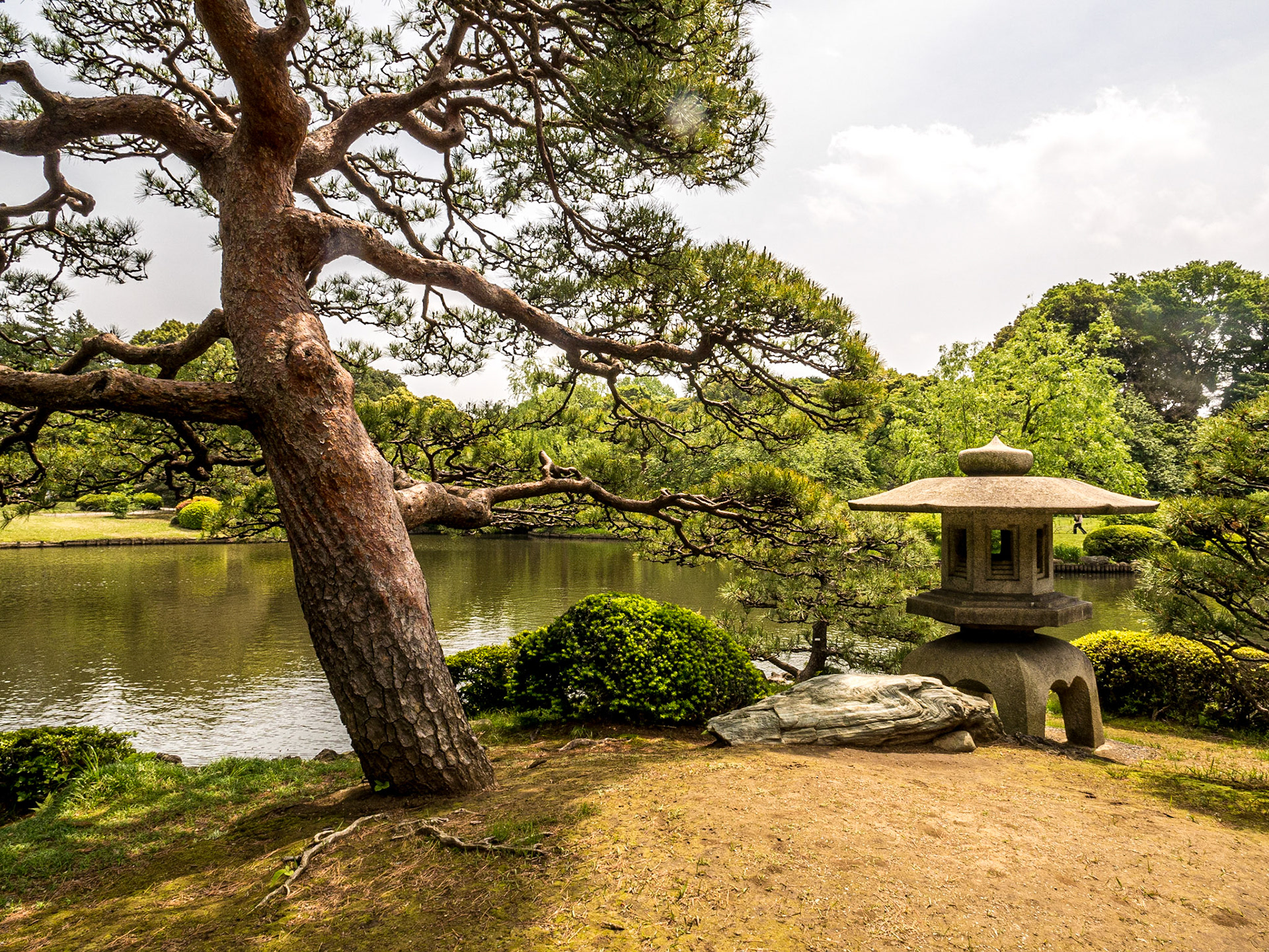 Japanese garden, Shinjuku Gyoen National Garden, Tokyo, 3 May 2016