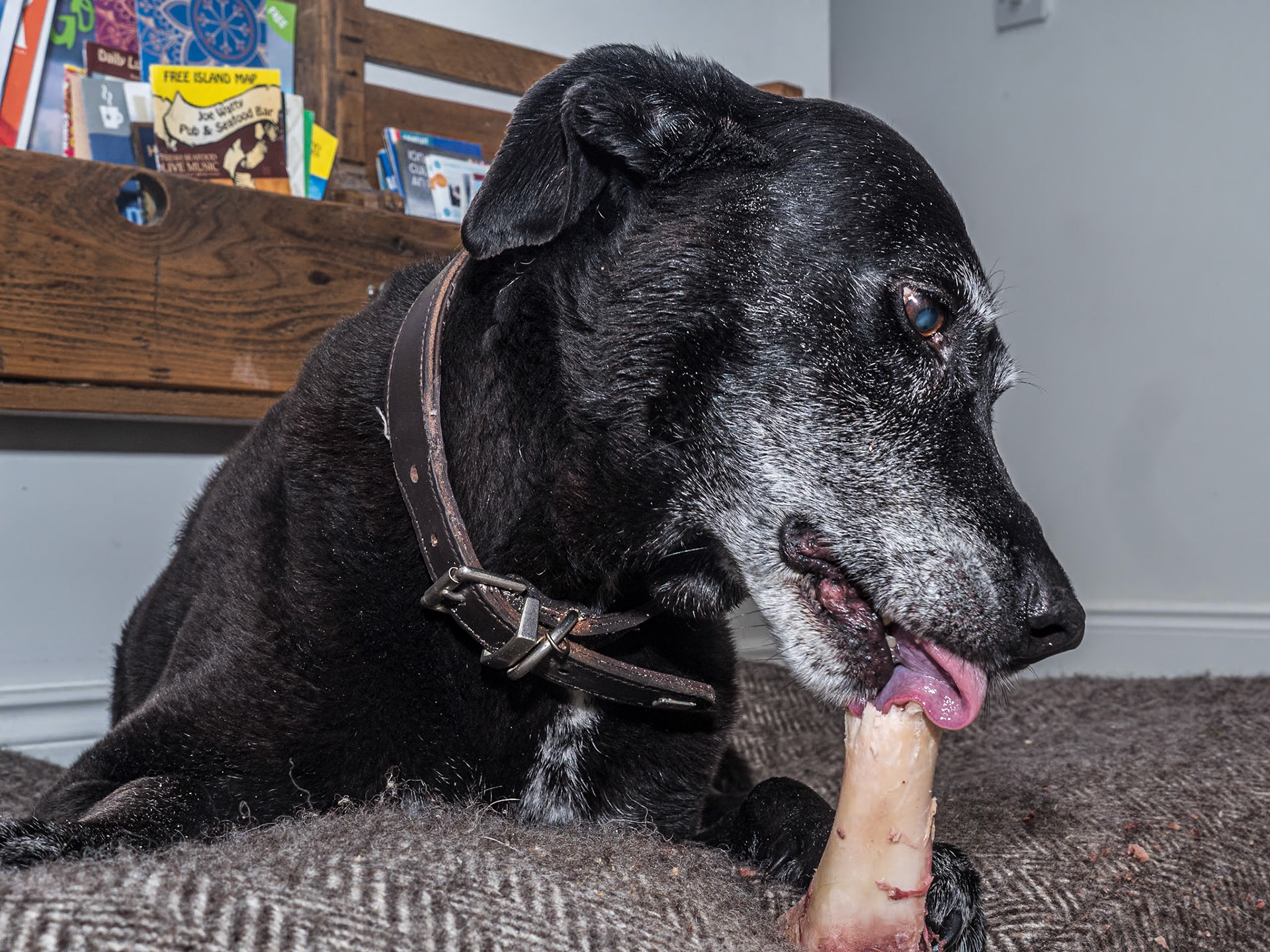 Smokey, Airbnb house, near Carraroe, Co Galway, 16 Jun 2022