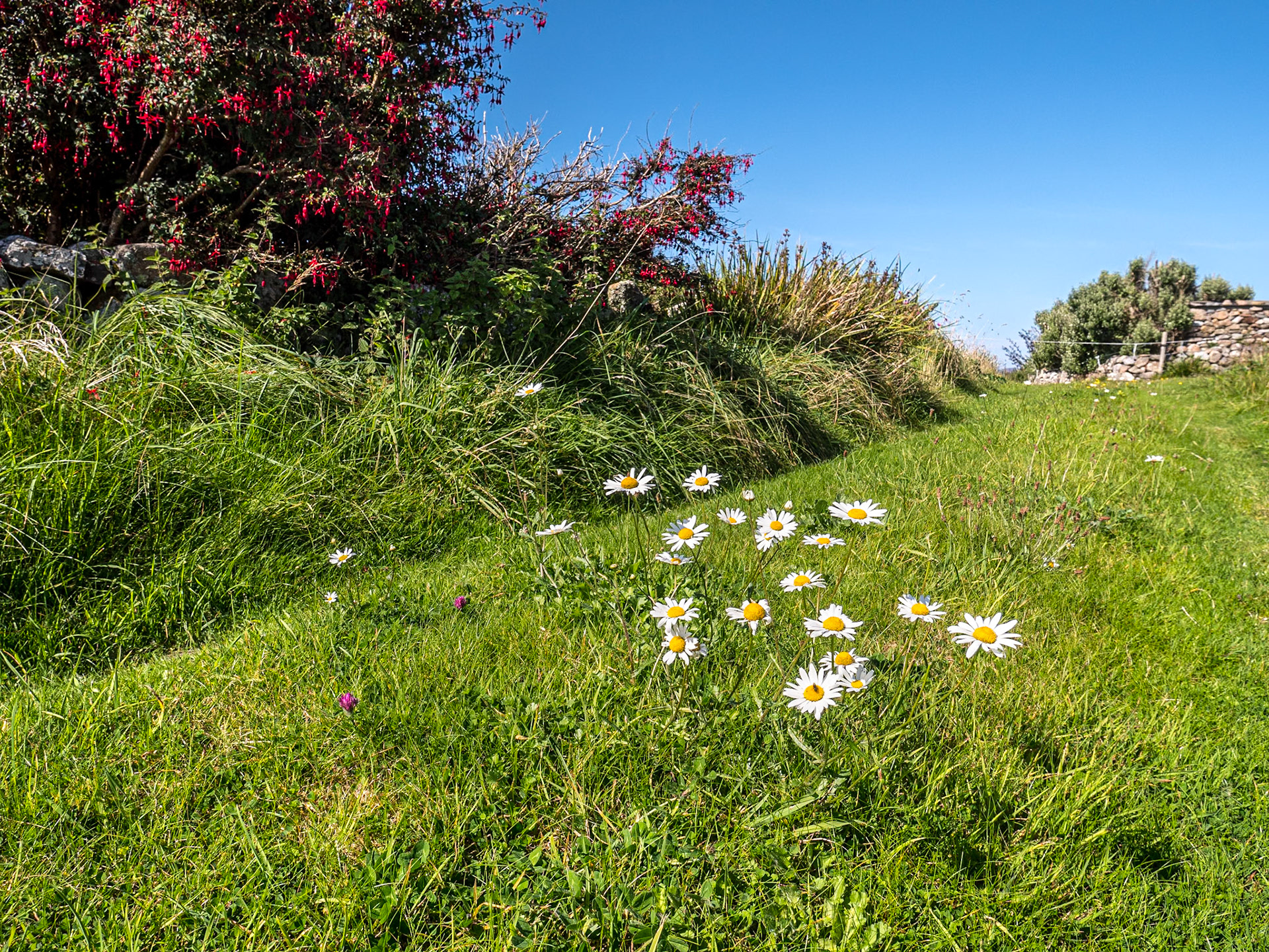 By Emlagh Beach, Connemara, 1 Sep 2022