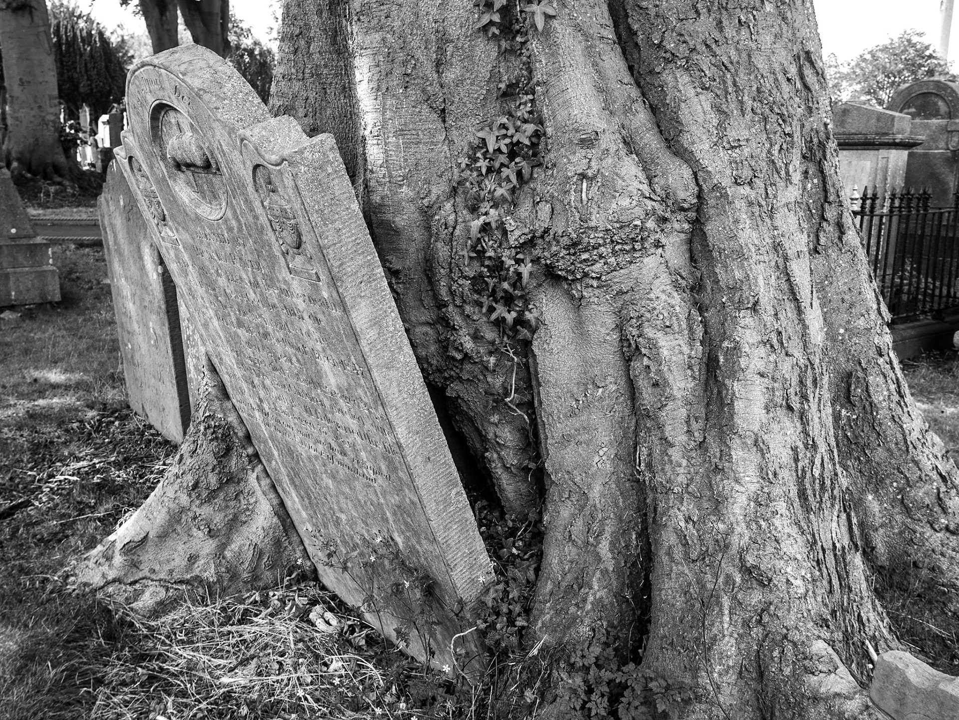 Glasnevin Cemetery, Dublin, 4 Aug 2015