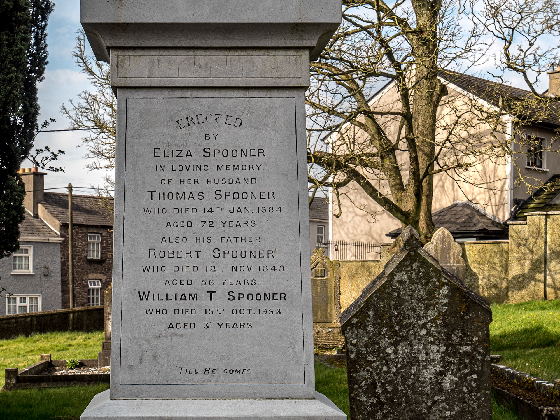 Graveyard of Kilmeage church (CoI), Co Kildare, 25 Mar 2022