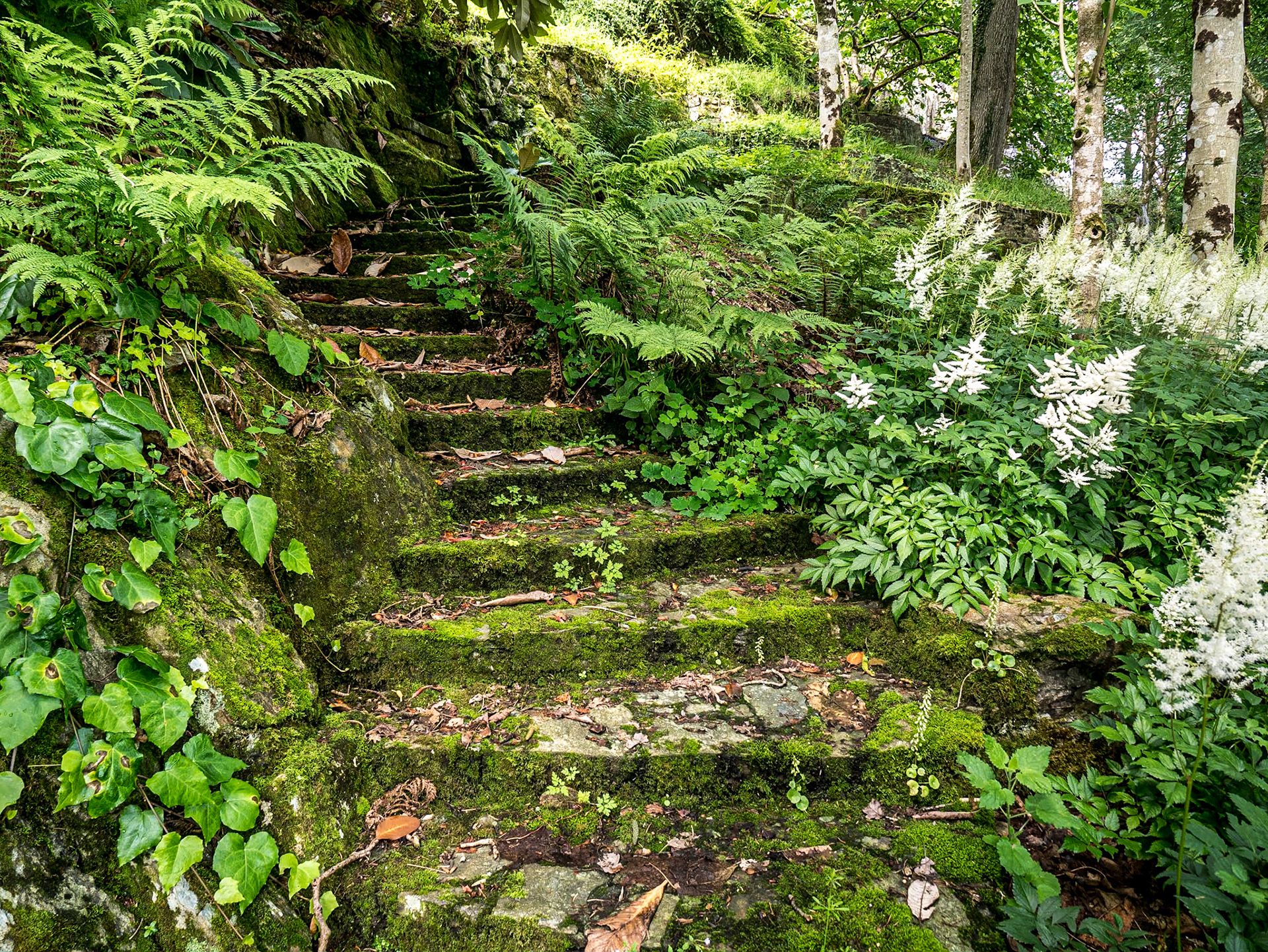 Mount Congreve Gardens, Co Waterford, 3 Jul 2016