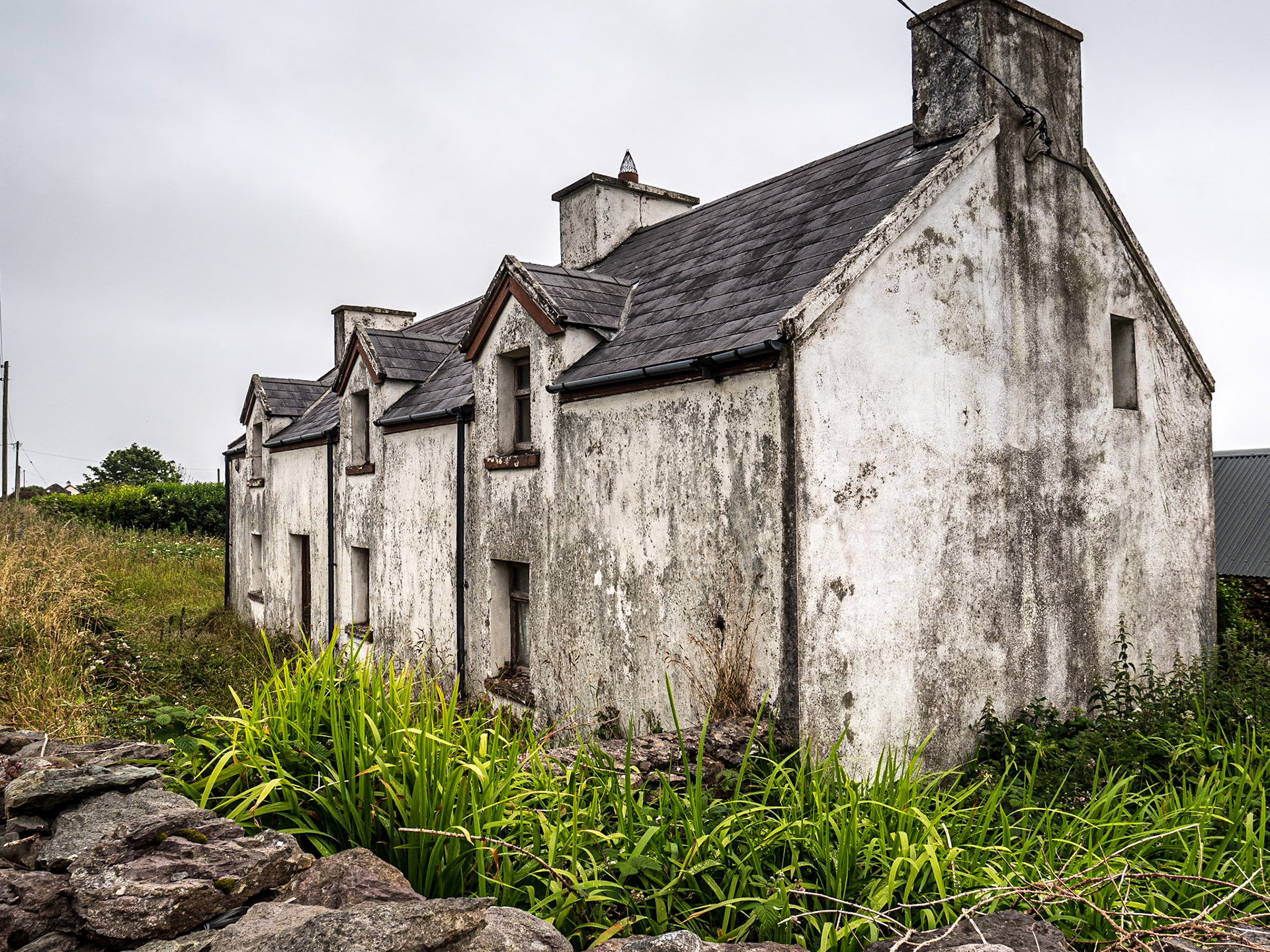 North of Waterville, Co Kerry, 14 Jul 2021
