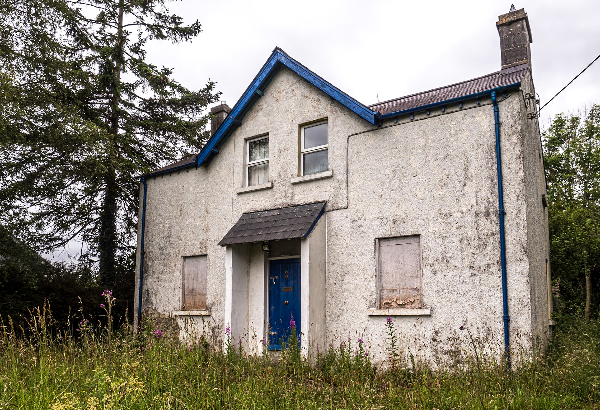 Mountnugent, Co Cavan, 8 Jul 2021