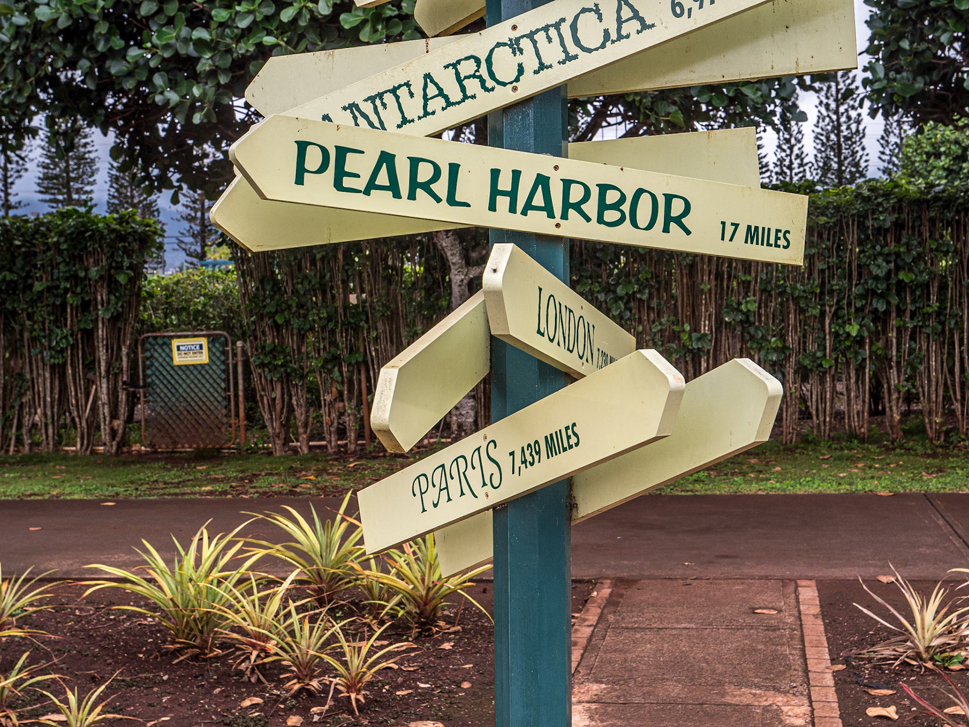 Dole Plantation, O'ahu, Hawaii, 29 Jan 2024