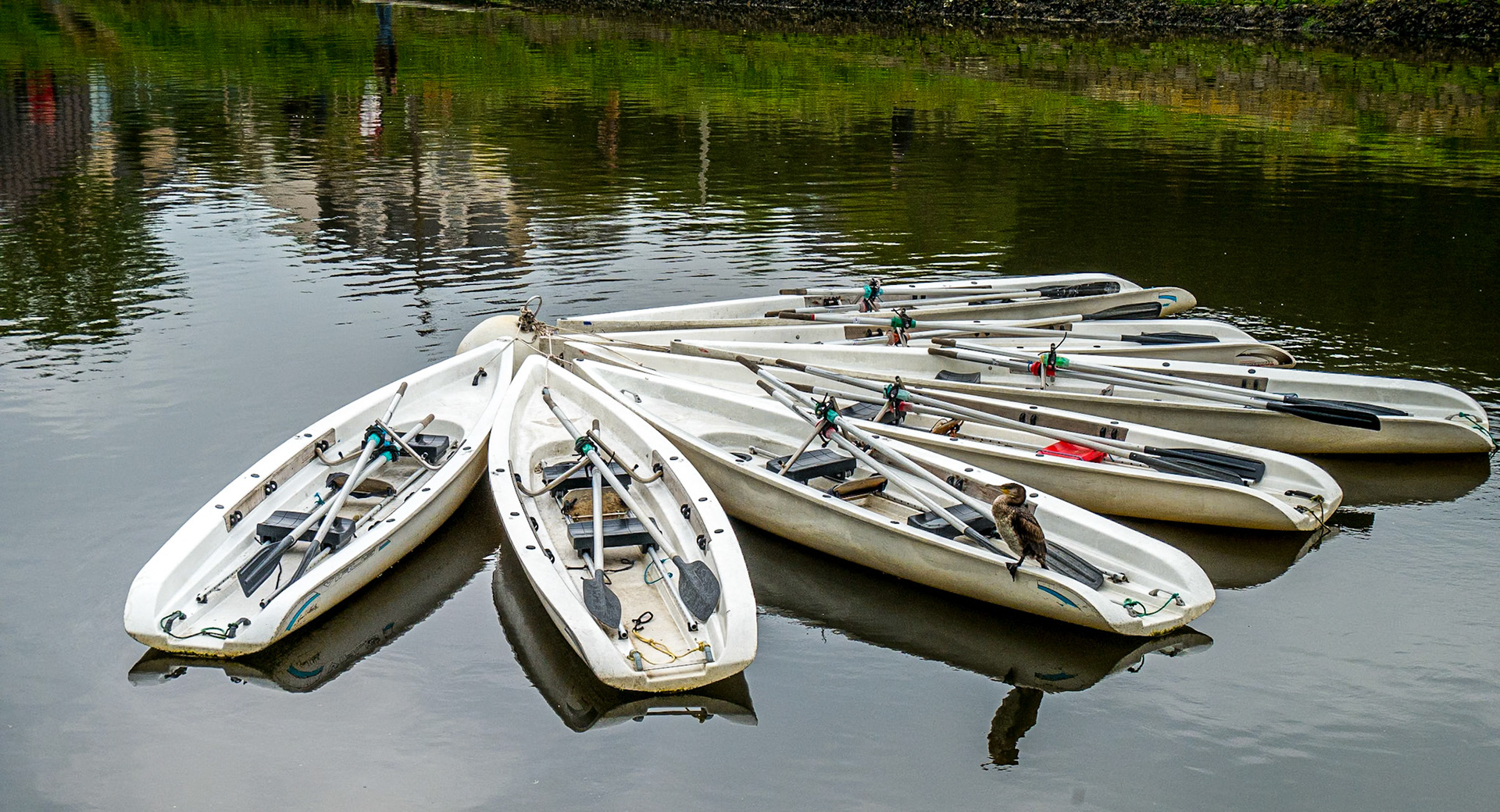 La Marle inlet, Vannes, Brittany, 29 Apr 2018