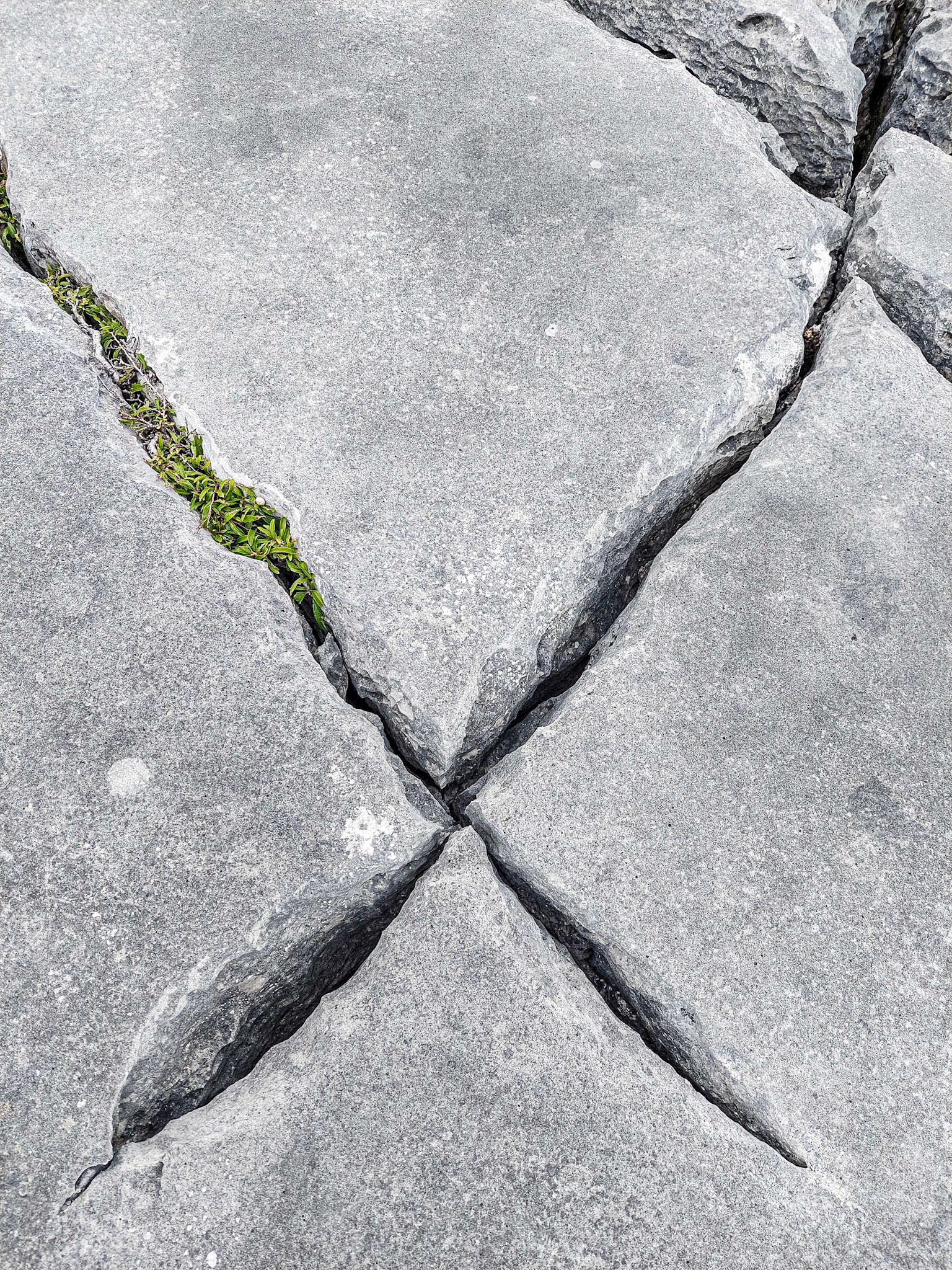 The Burren, south of Fanore, Co Clare, 30 Aug 2023