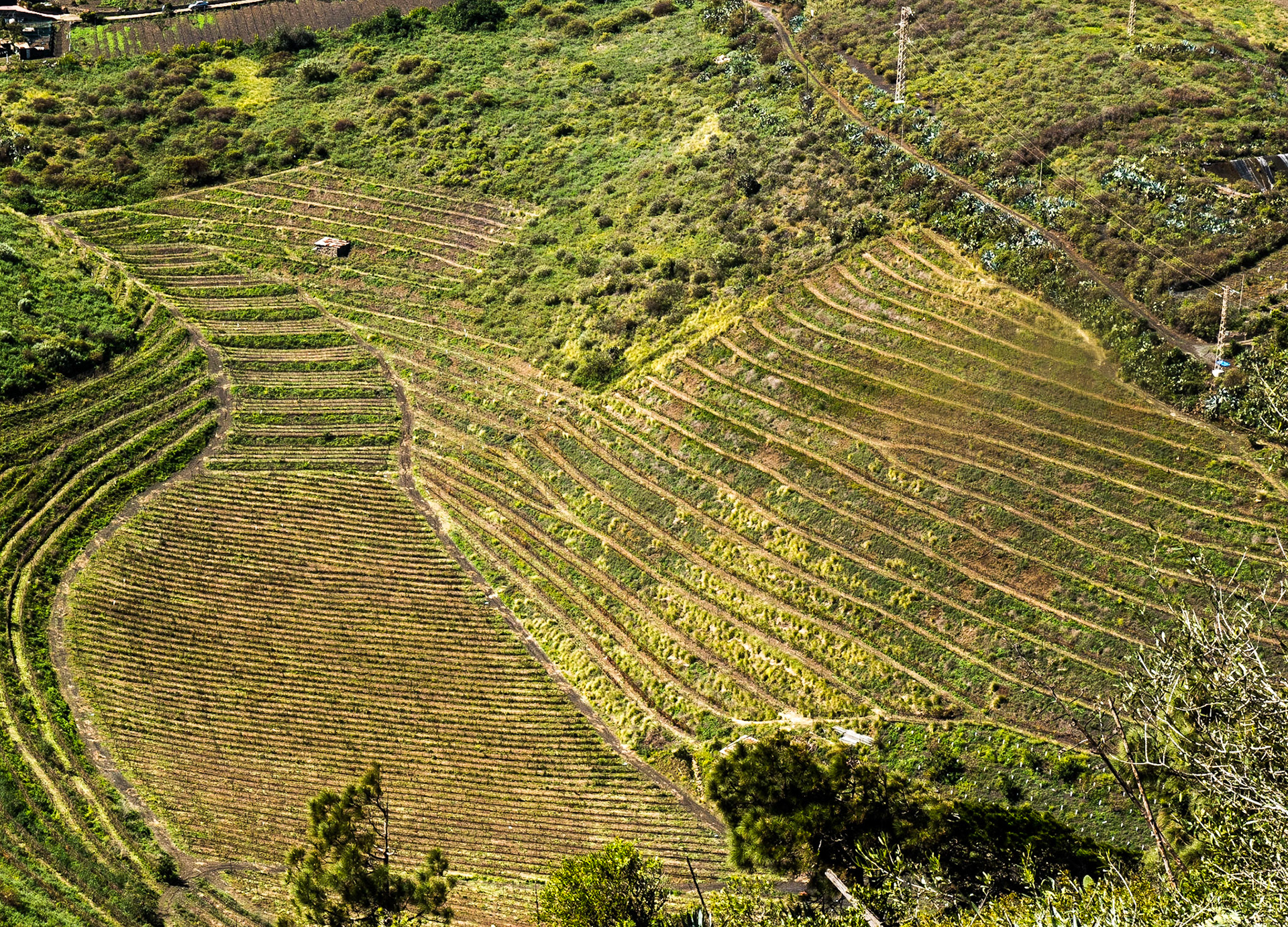 View from Pico de Bandama, Gran Canaria, 21 Feb 2016