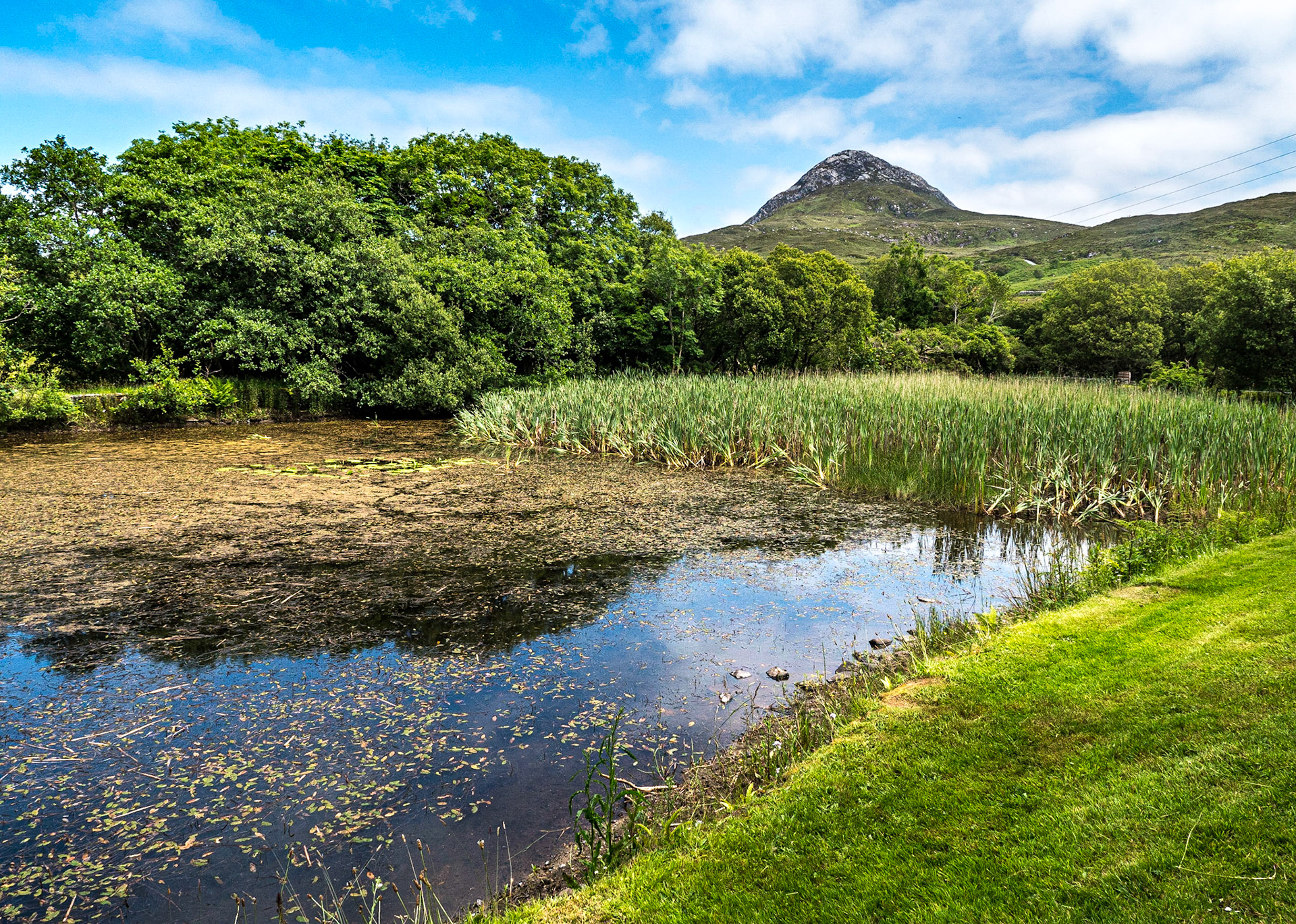 Connemara National Park, 30 Jun 2021
