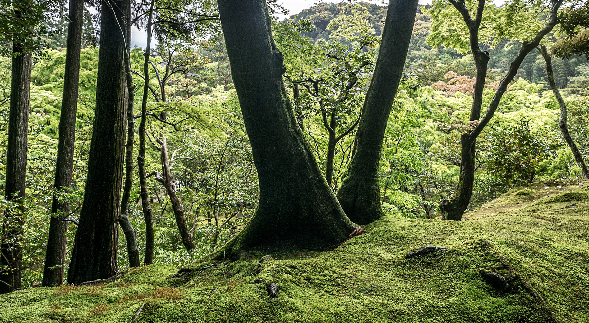 Ginkaku-ji (Jisho-ji) temple, Kyoto, 28 Apr 2016