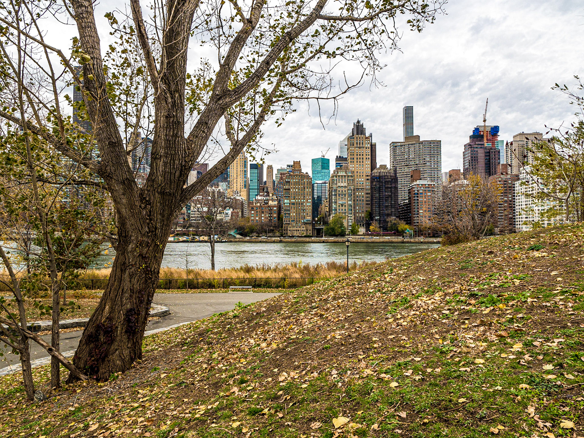 Manhattan from Roosevelt Island, New York, 22 Nov 2015