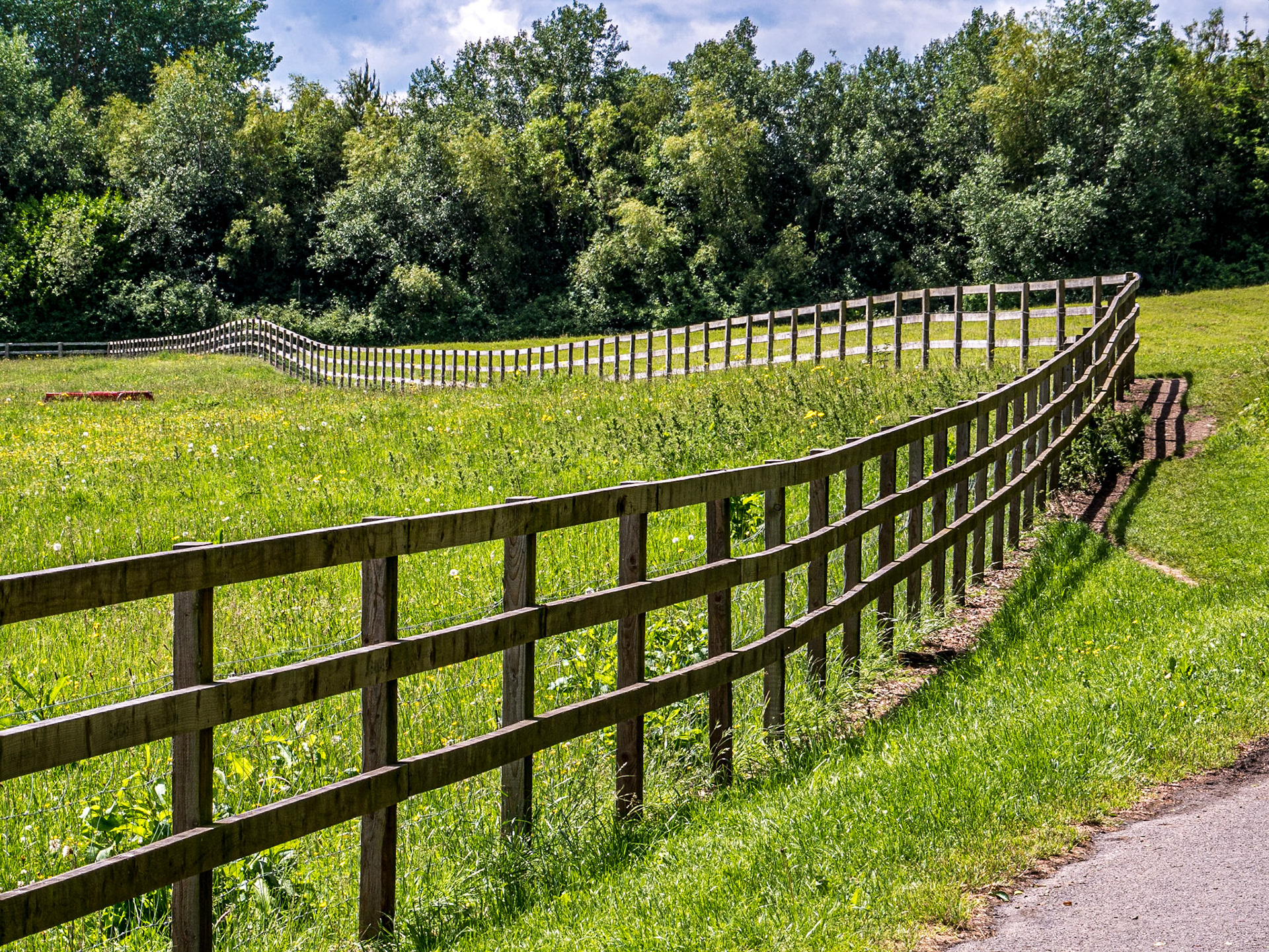 St Catherine's Park, Lucan, Dublin, 12 Jun 2016