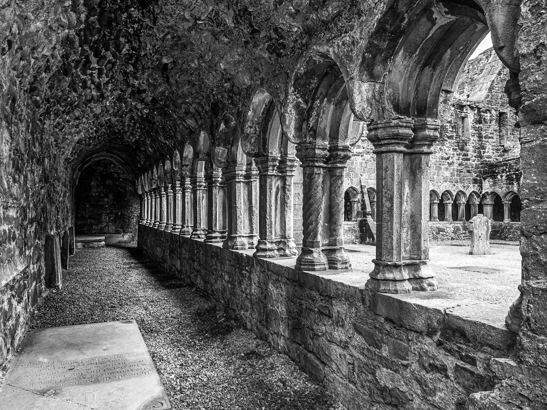 Sligo Abbey, 9 Oct 2014