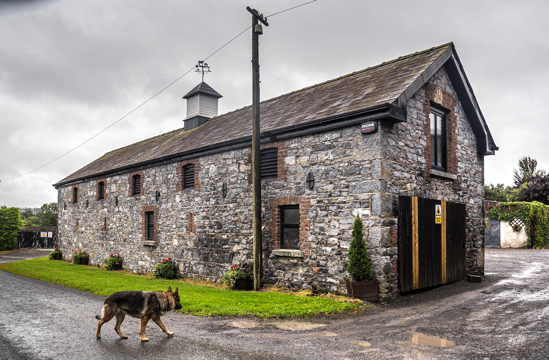 Oghill House Stud, Co Kildare, 2 Sep 2020