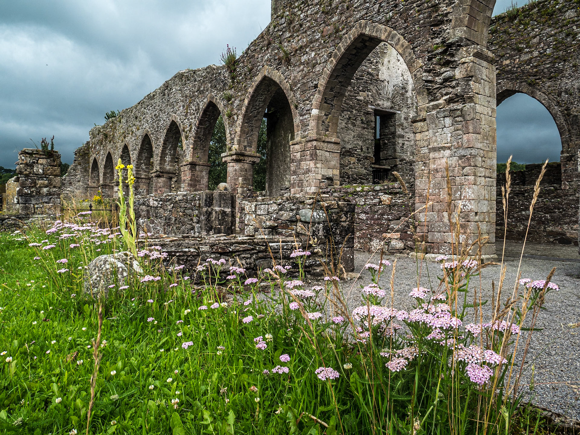Baltinglass Abbey, 9 Jul 2020