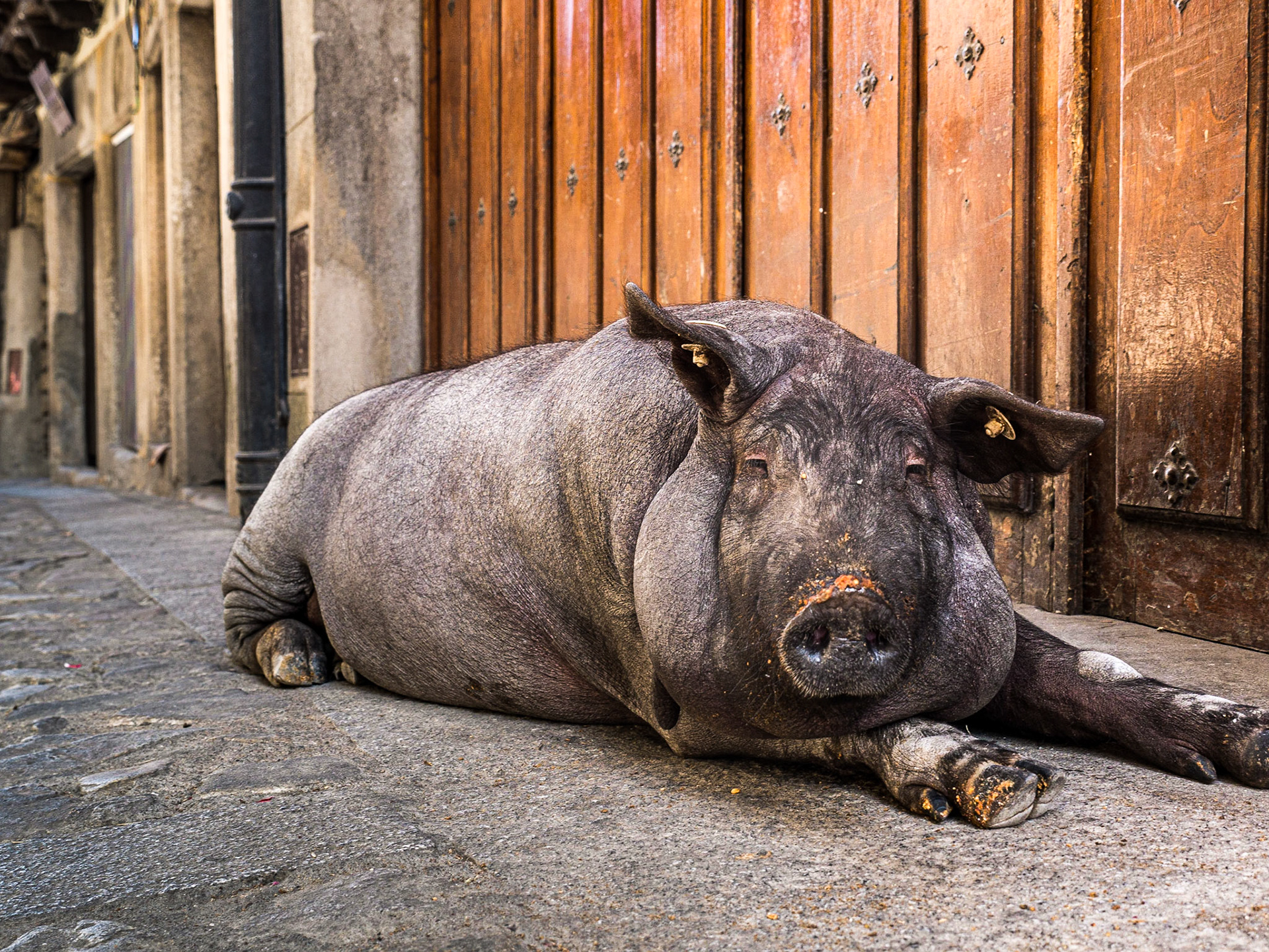 Mogarraz, Spain, 14 Sep 2015