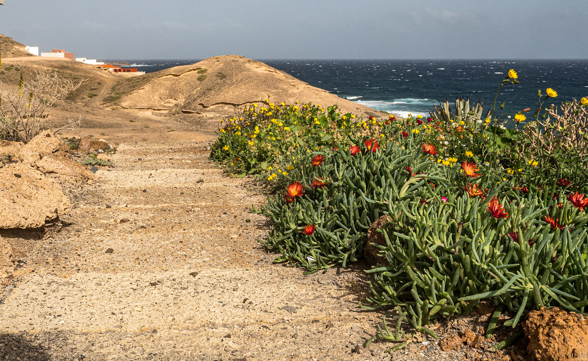 Near El Bufadero, Tenerife, 6 Feb 2022