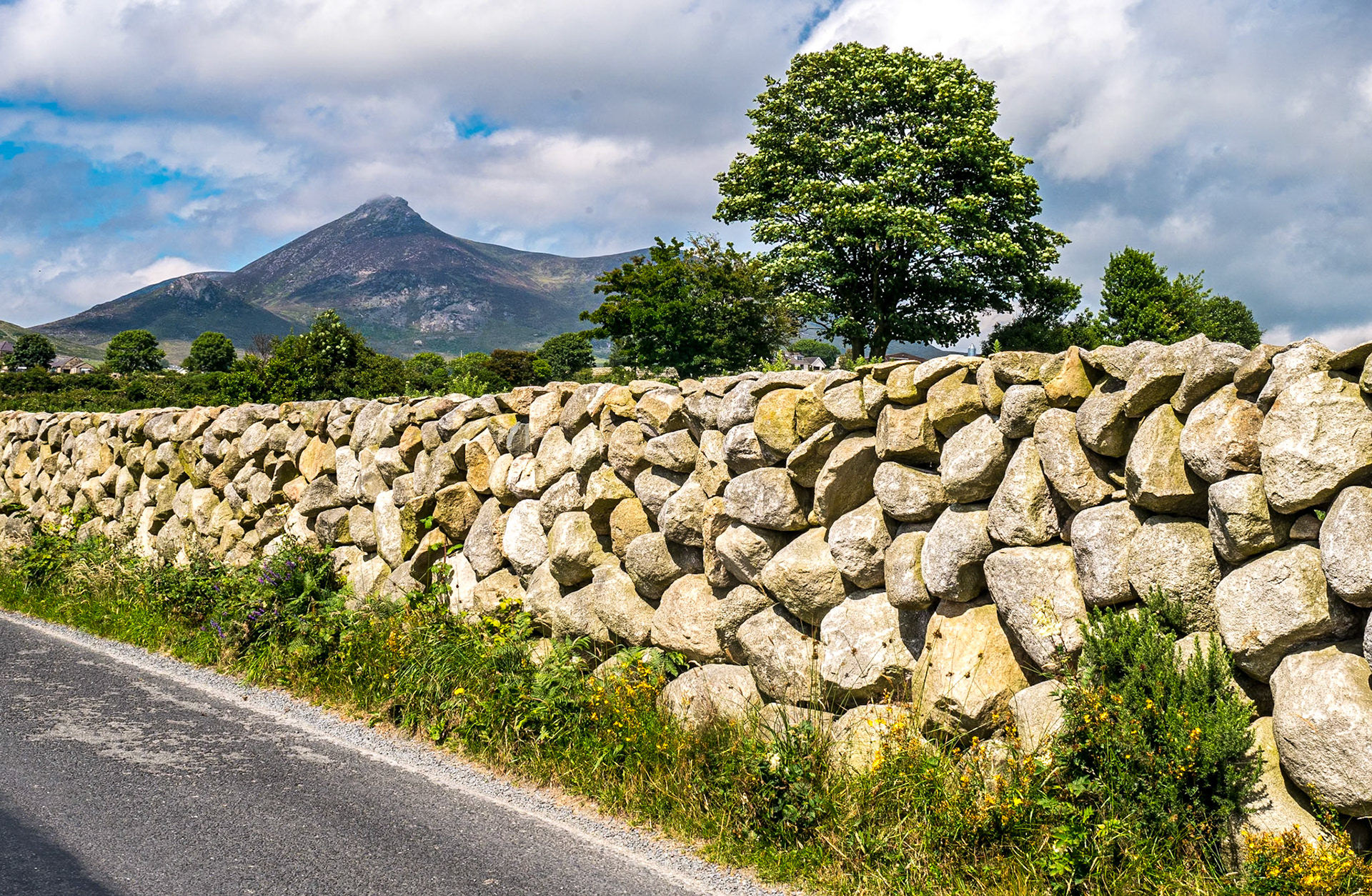 Near Silent Valley, Co Down, 13 Jul 2016