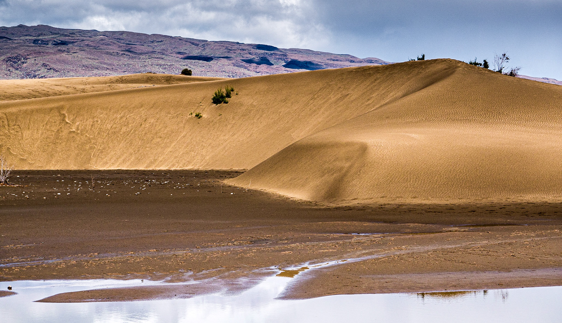 La Charca reserve, Maspalomas, Gran Canaria, 19 Feb 2016