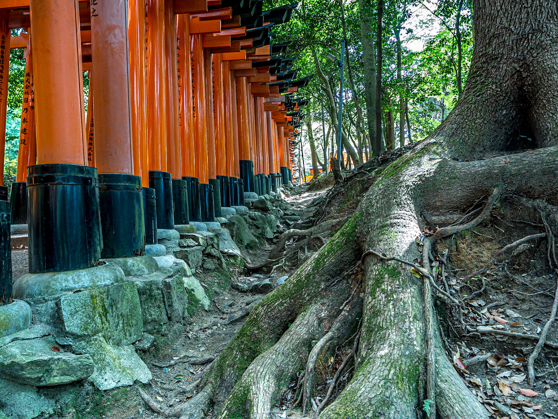 Fushimi Inari-taisha, Kyoto, 26 Apr 2016