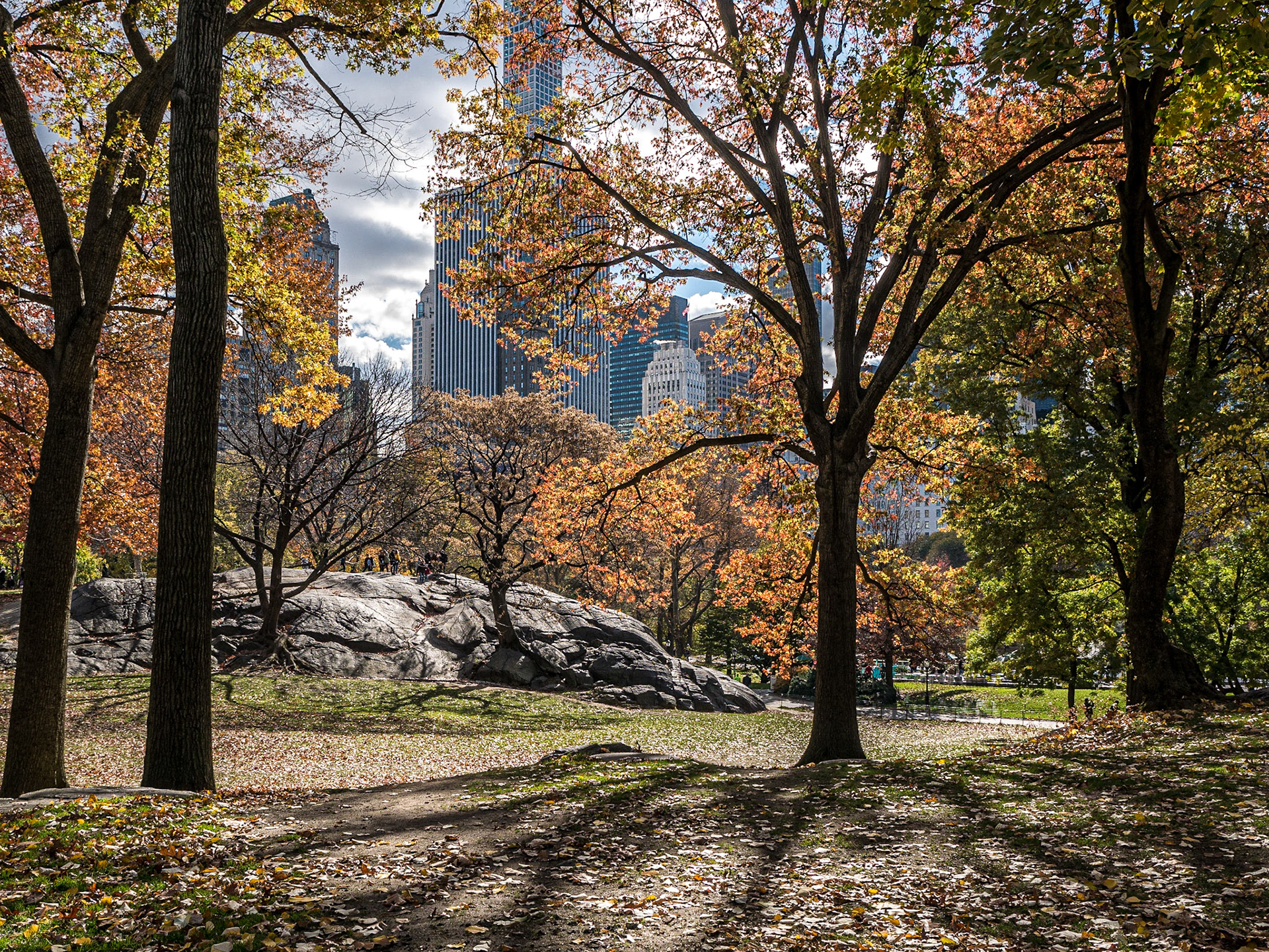 Central Park, Manhattan, 23 Nov 2015