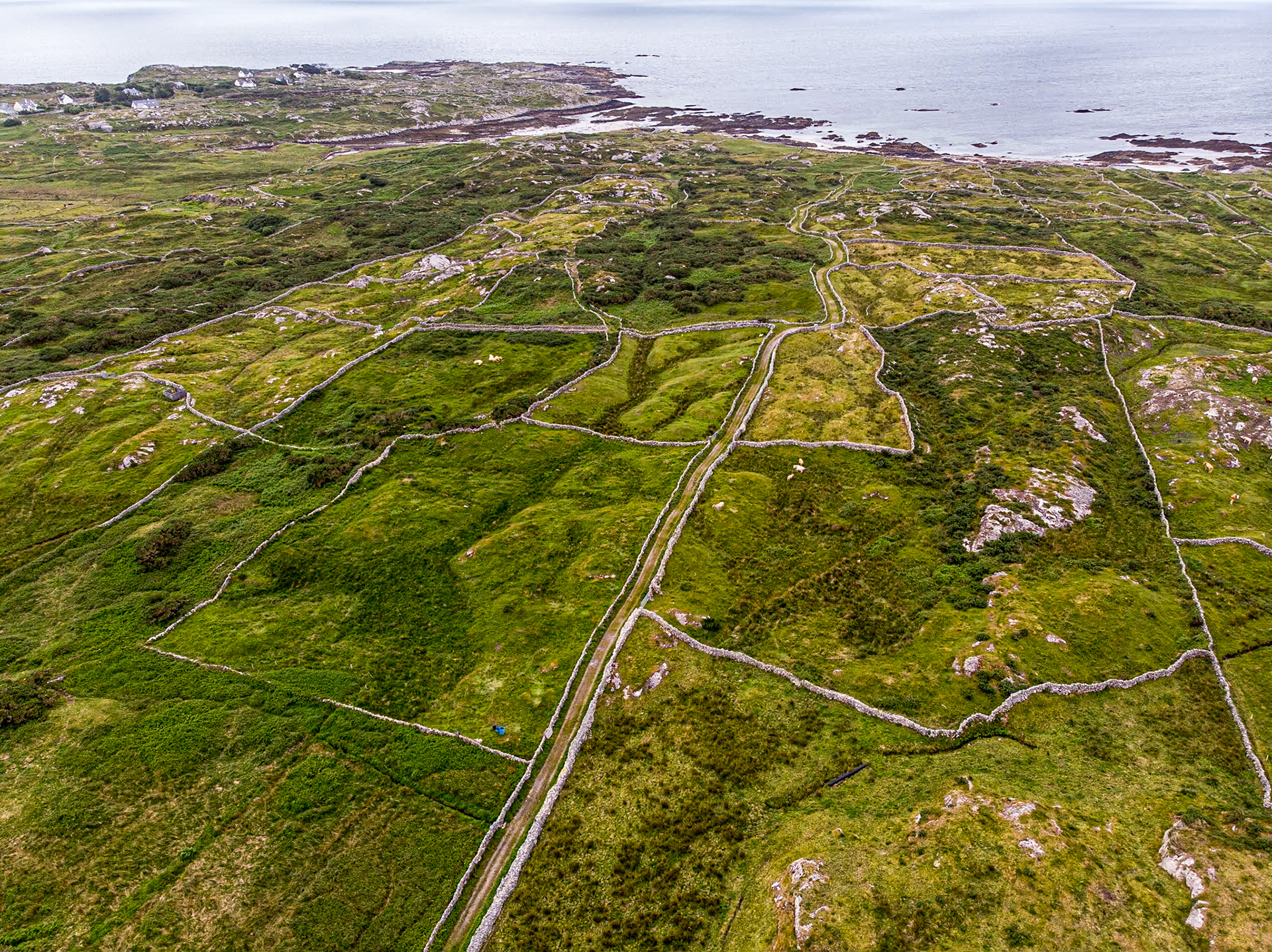 Carraroe, Co Galway, 14 Jun 2022
