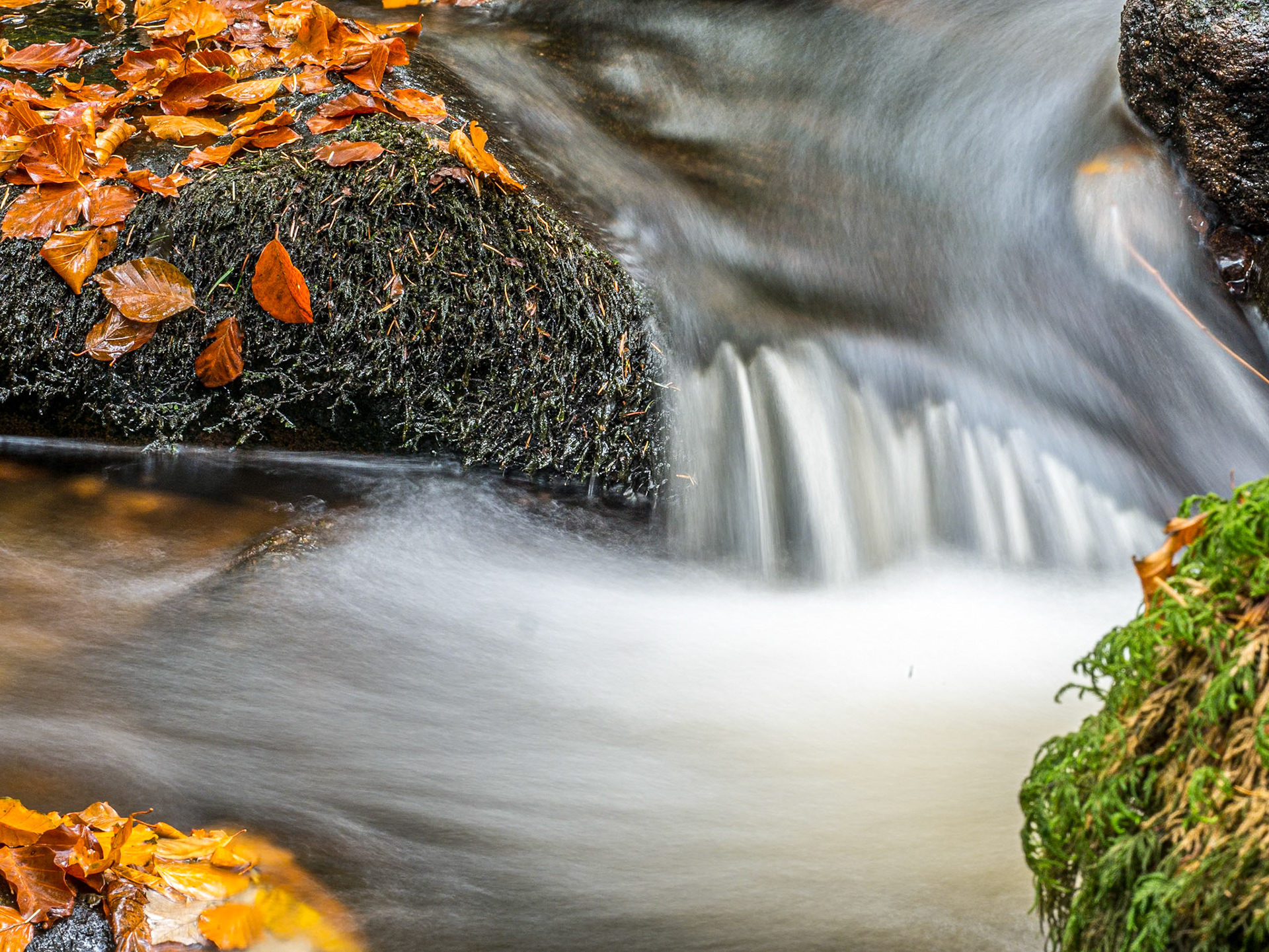 Massy's Estate, Co Dublin, 5 Nov 2017