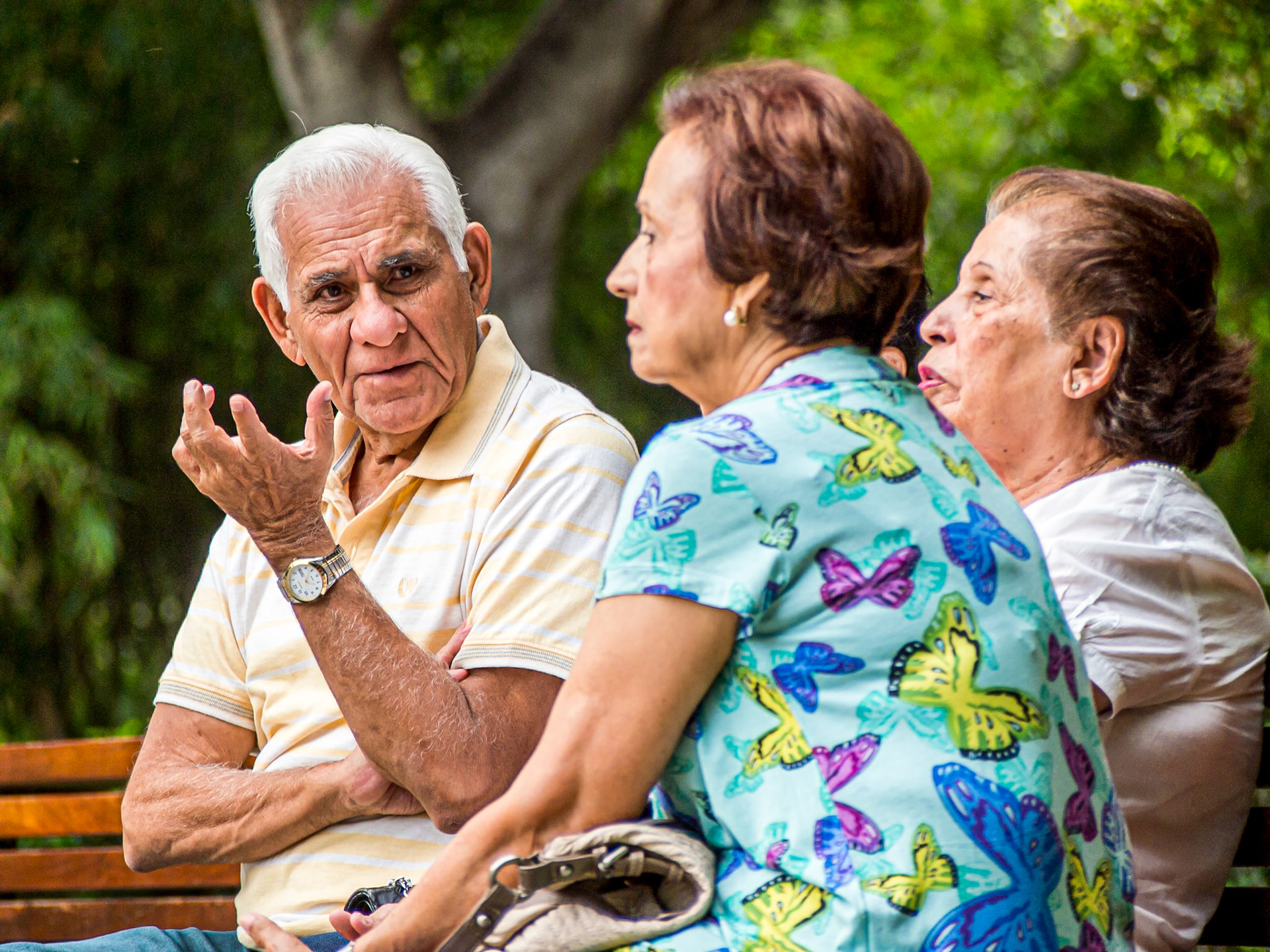 Parque García Sanabria, Santa Cruz, Tenerife, 22 Aug 2013
