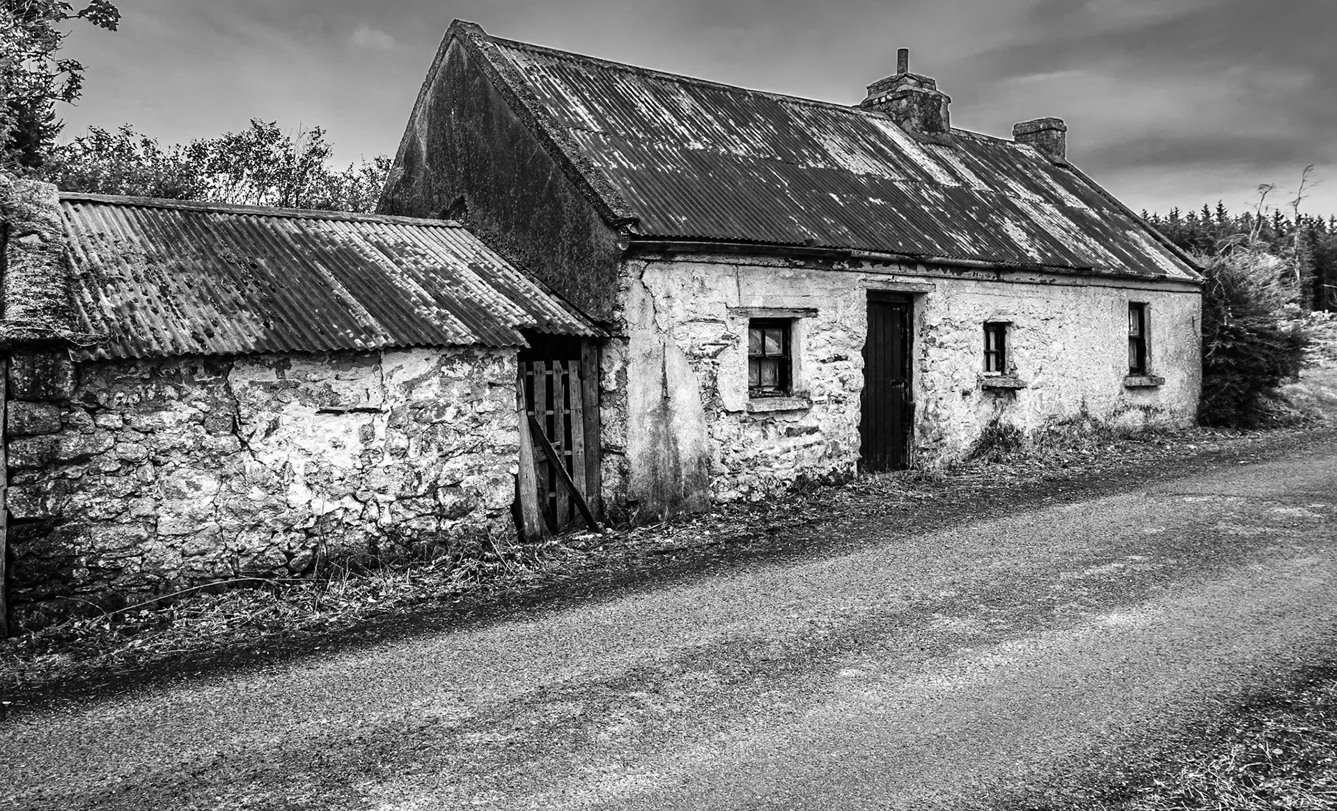 Near Humphreystown, Co Wicklow, 29 Apr 2021