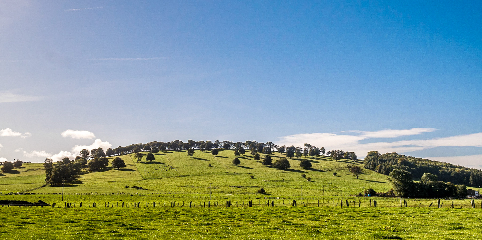 Athgoe Hill, Co Kildare, 7 Oct 2015