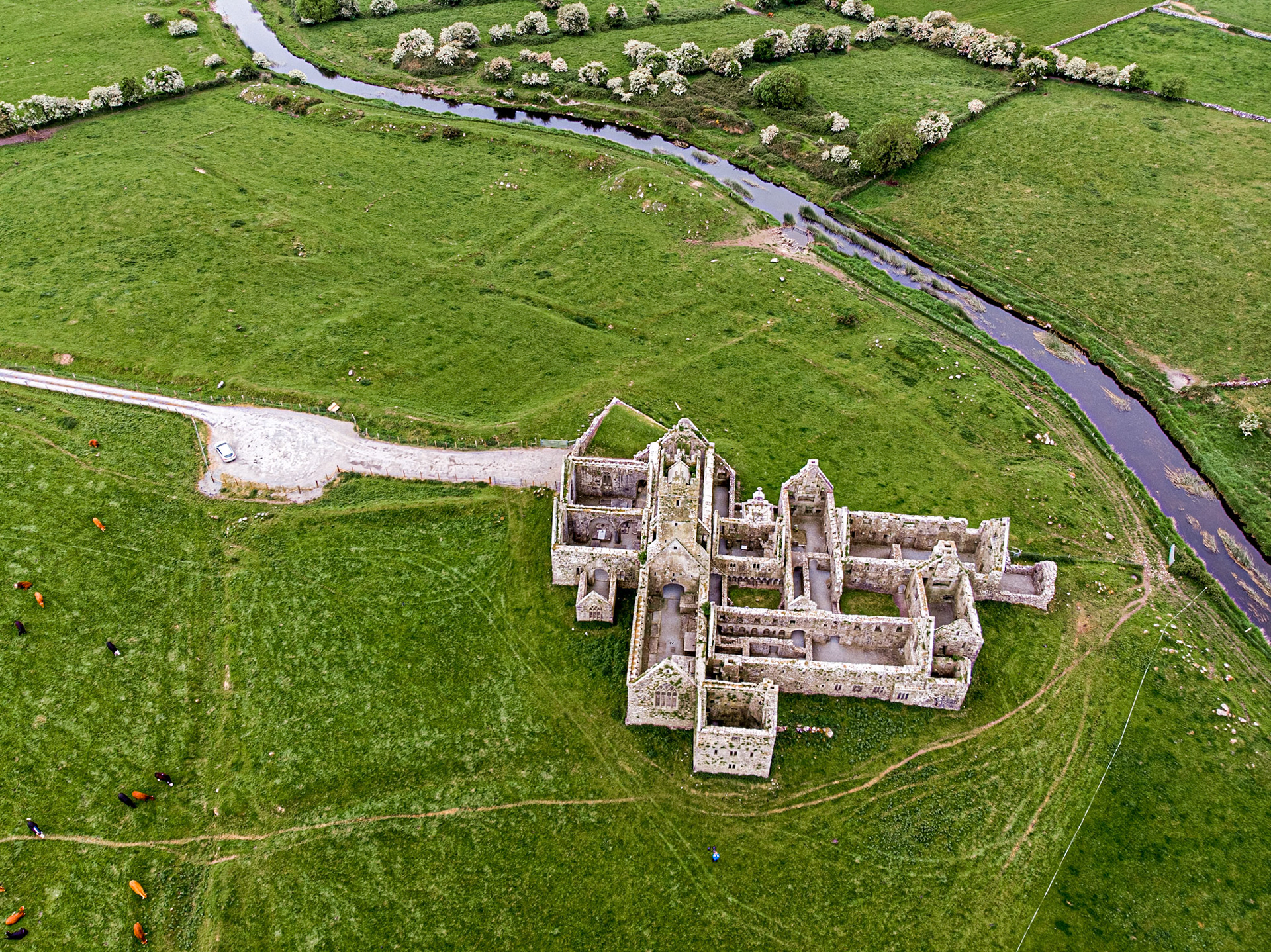 Ross Errilly Friary, Co Mayo, 18 May 2019