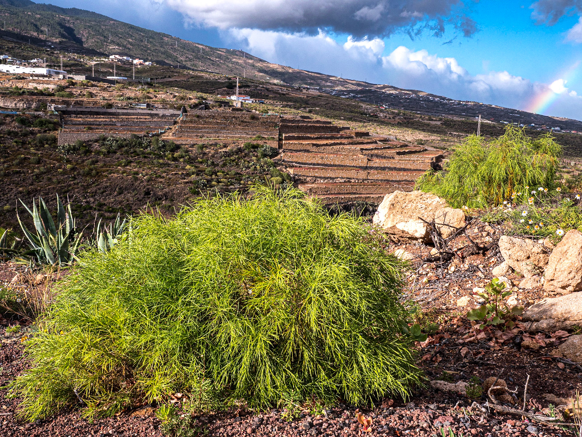 View from Fasnia Mountain, Tenerife, 15 Feb 2019