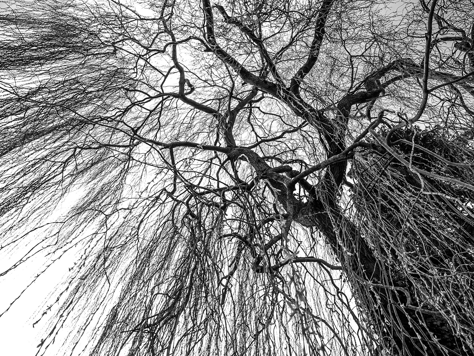 K Club, Co Kildare, 25 Mar 2015