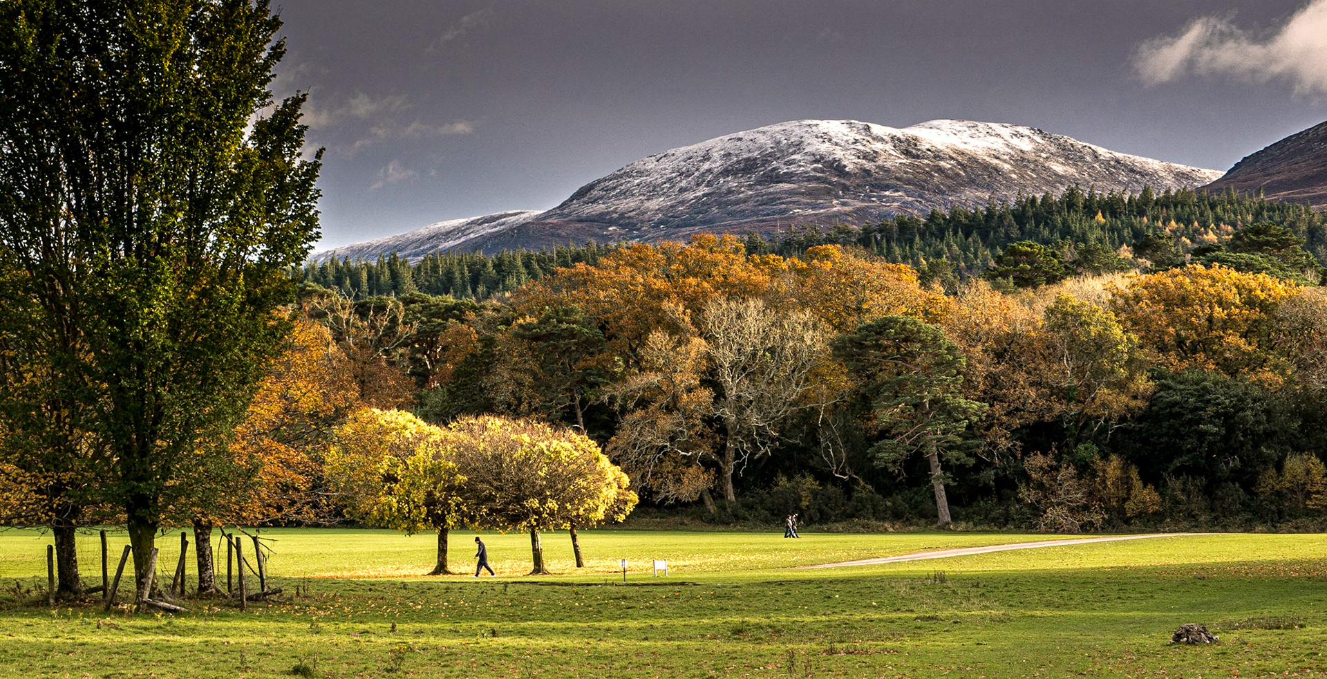 Muckross estate, Killarney, 21 Nov 2016