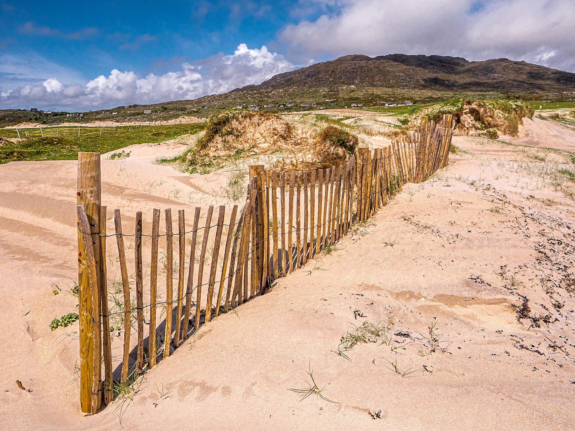 Gurteen Beach, near Roundstone, Co Galway, 9 May 2023