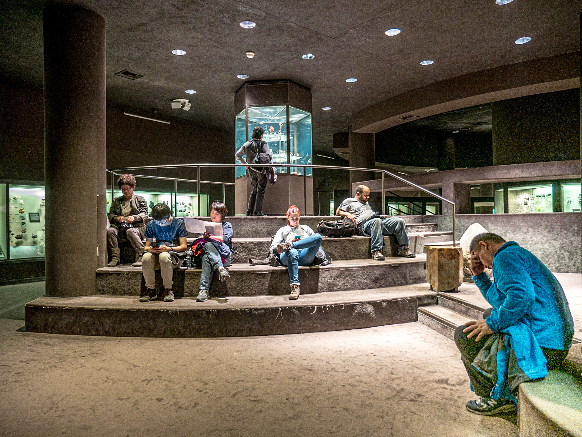 Museum of Natural History, Manhattan, 19 Nov 2015