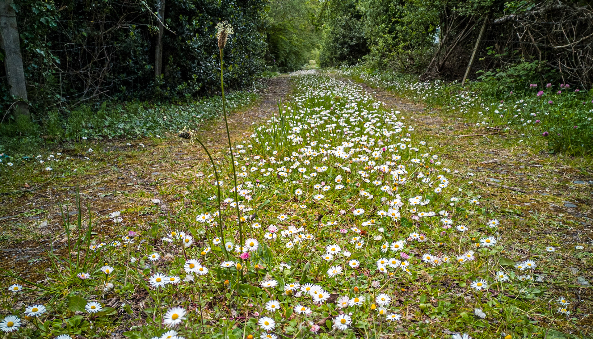 Near Louisburgh, Co Mayo, 15 May 2019
