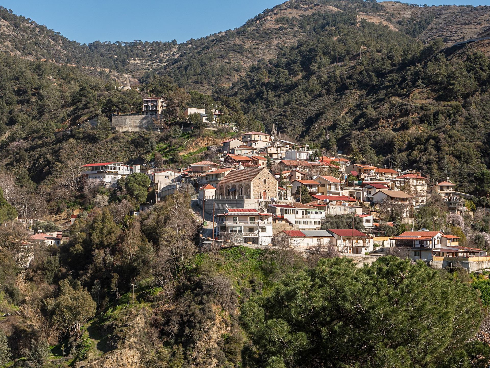 Oikos, Cyprus, 21 Feb 2025