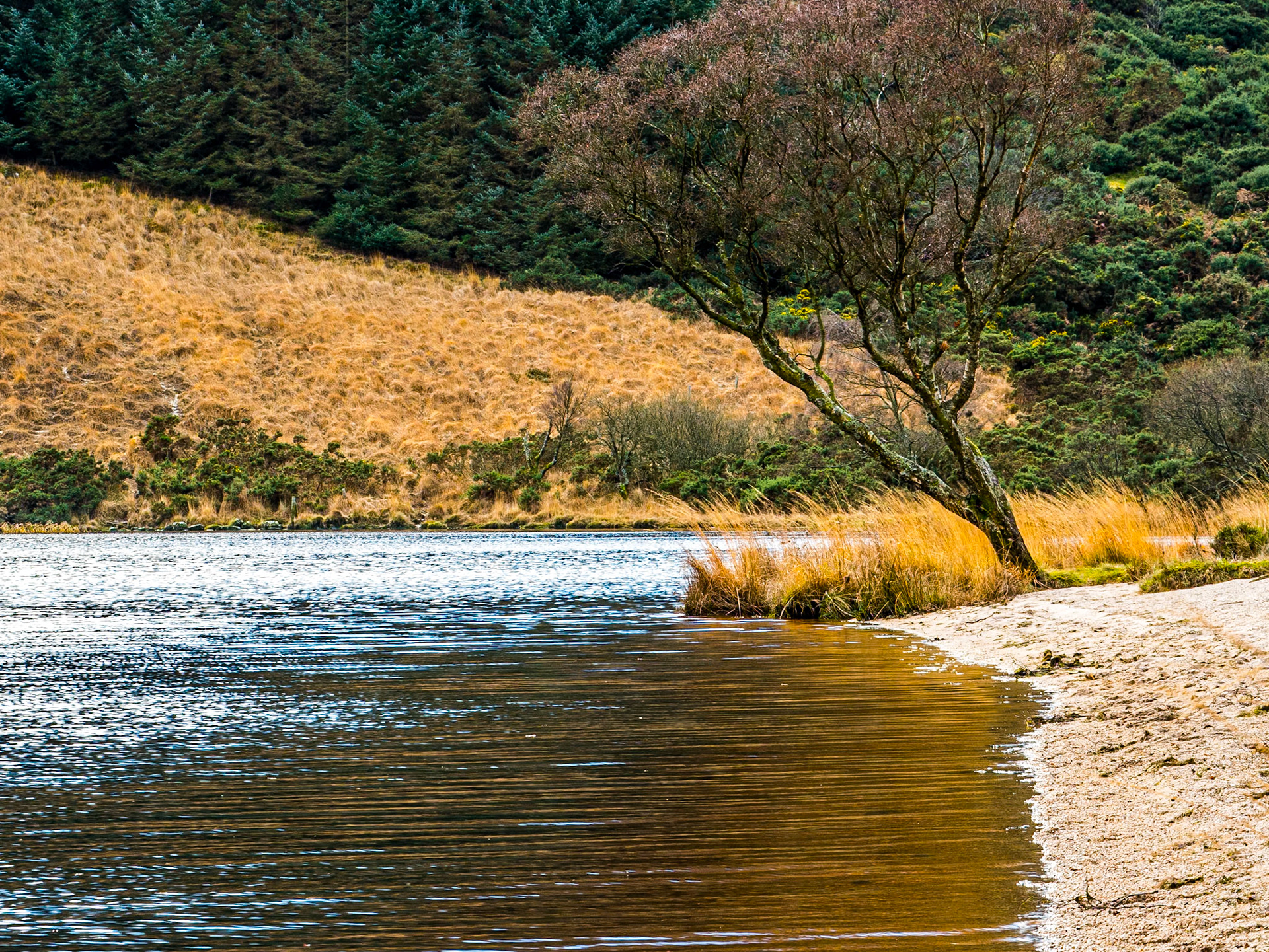 Lough Dan, Co Wicklow, 3 Jan 2017