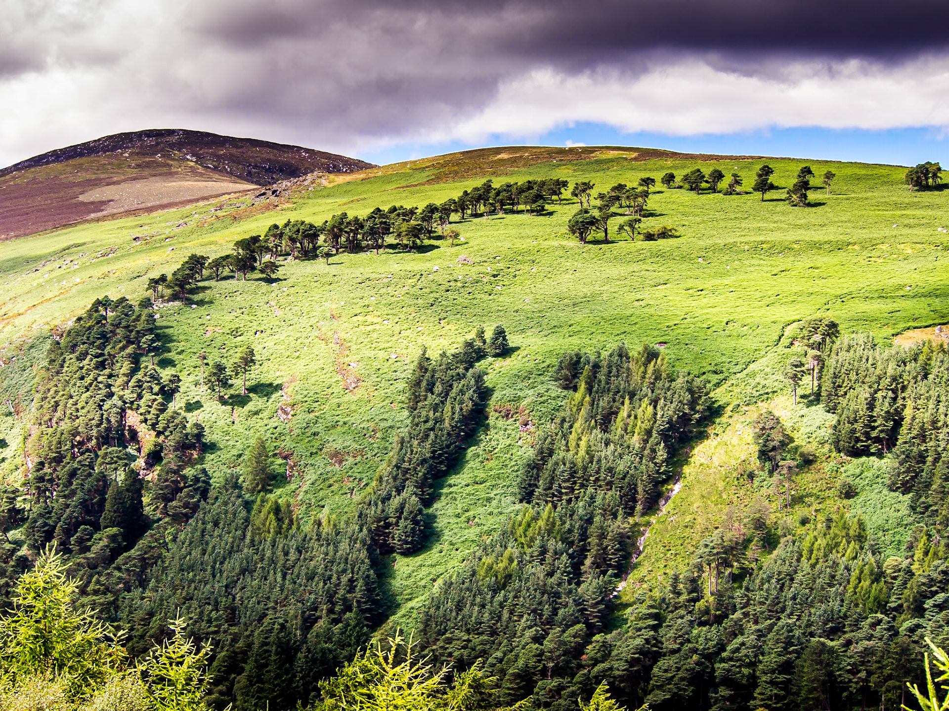Glendalough, 11 Aug 2013