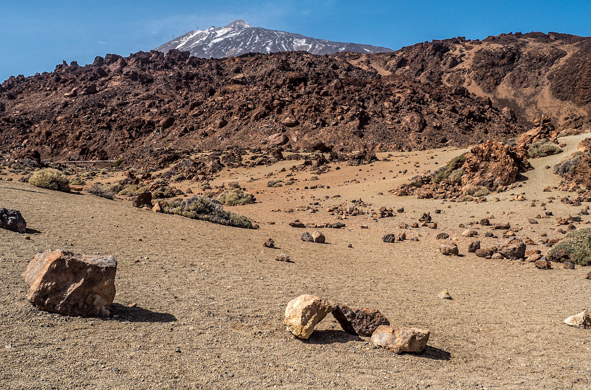 Near Minas de San José, Tenerife, 7 Feb 2022