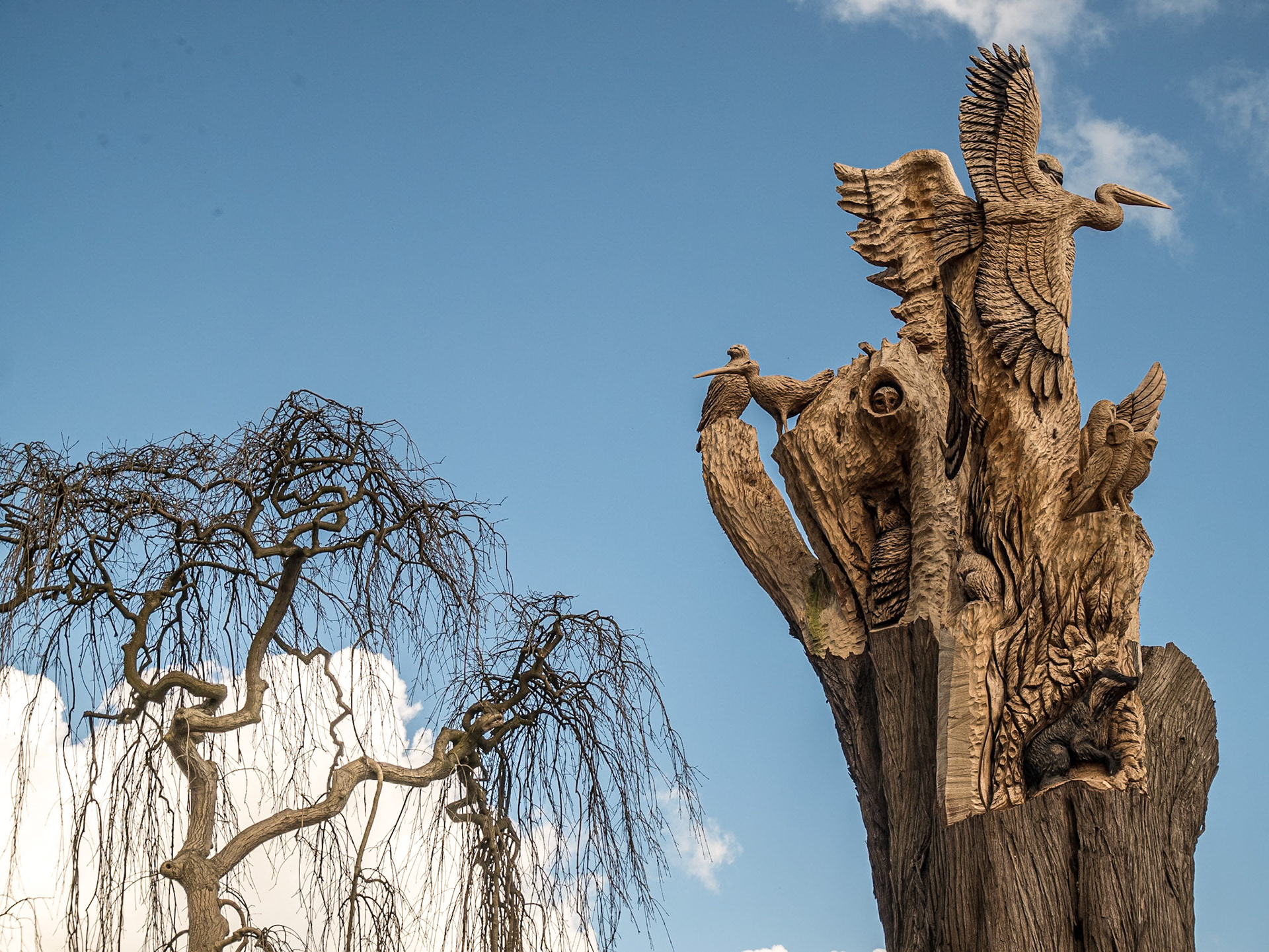 Sculpted tree, Clontarf Road, Dublin, 31 Mar 2016