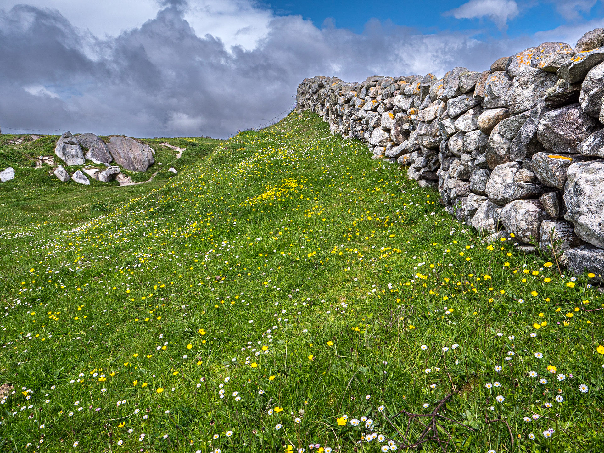 Mweenish Island, Co Galway, 11 May 2023
