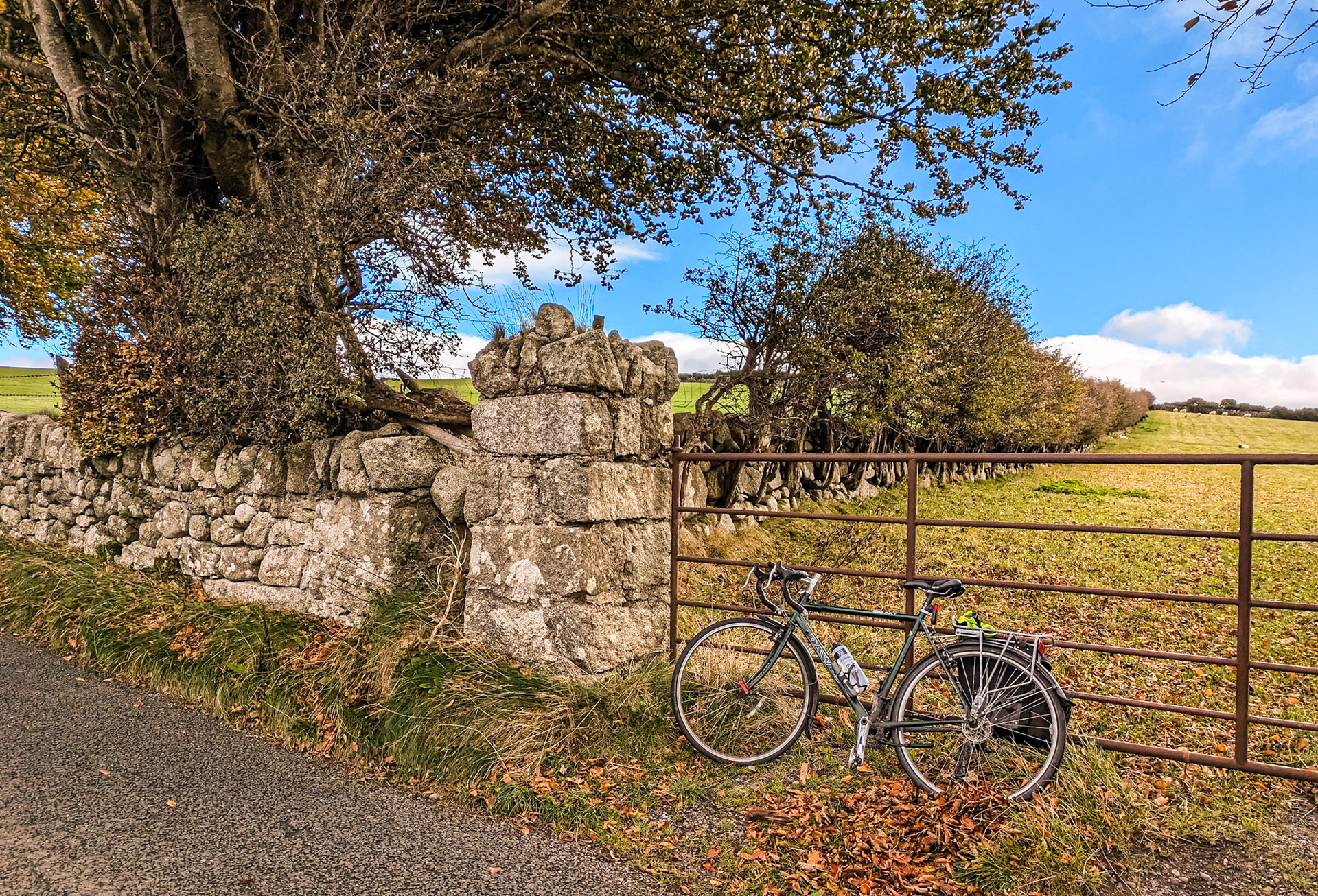 Glencullen, Co Dublin, 17 Oct 2024