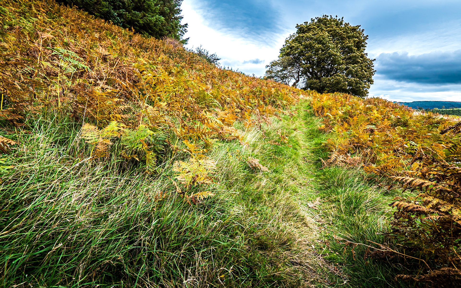 Knockree, Co Wicklow, 7 Oct 2018